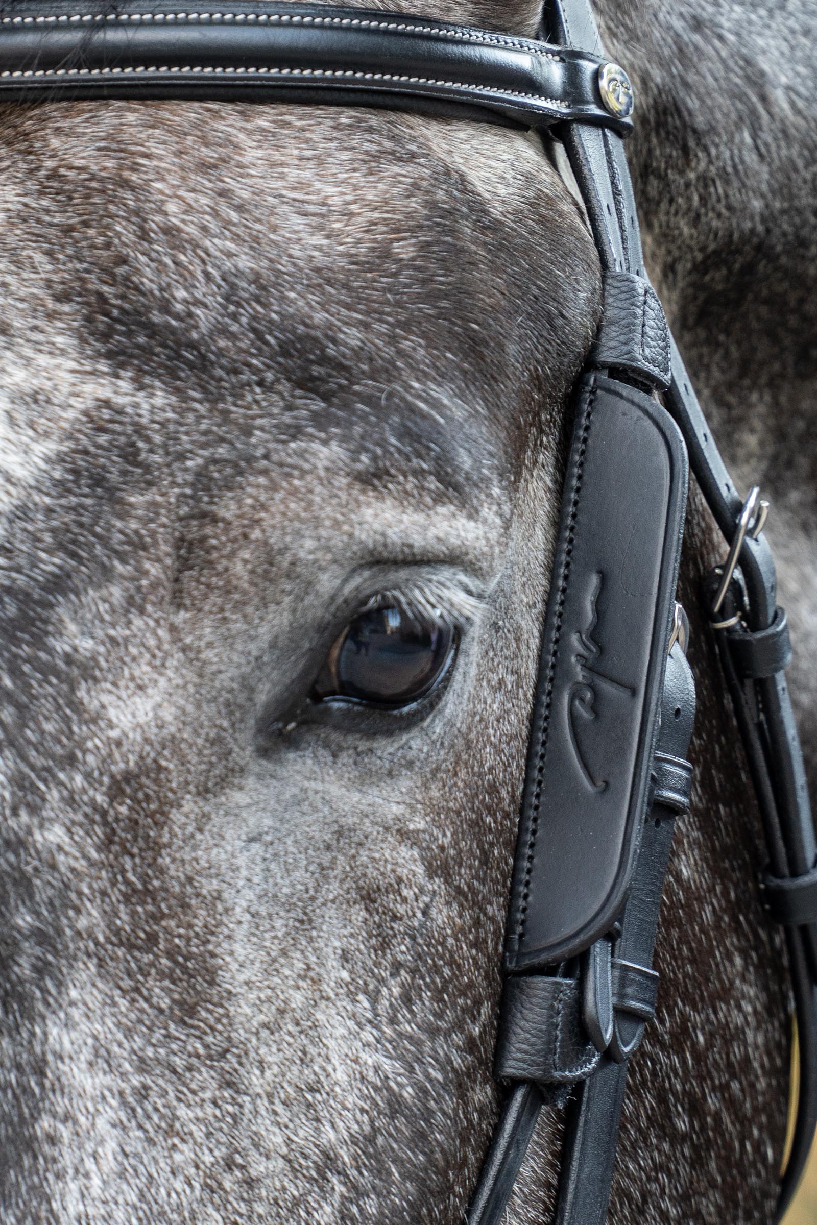 Dy'on Working Mini-Scheuklappen