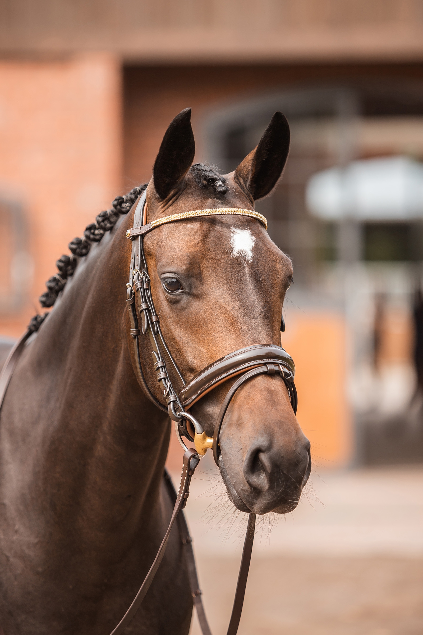 Horze Nancy Stirnriemen mit Kristallen und Flechtdetail