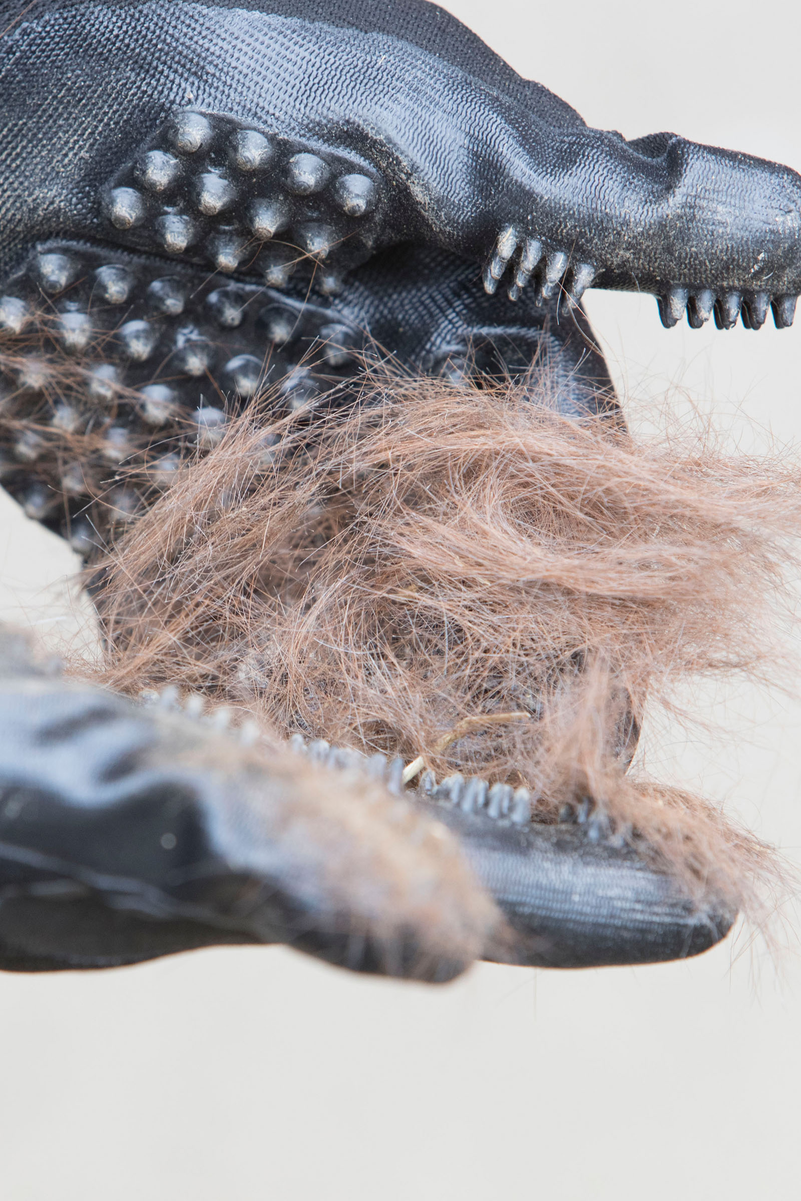 LeMieux Hands On Pflegehandschuh