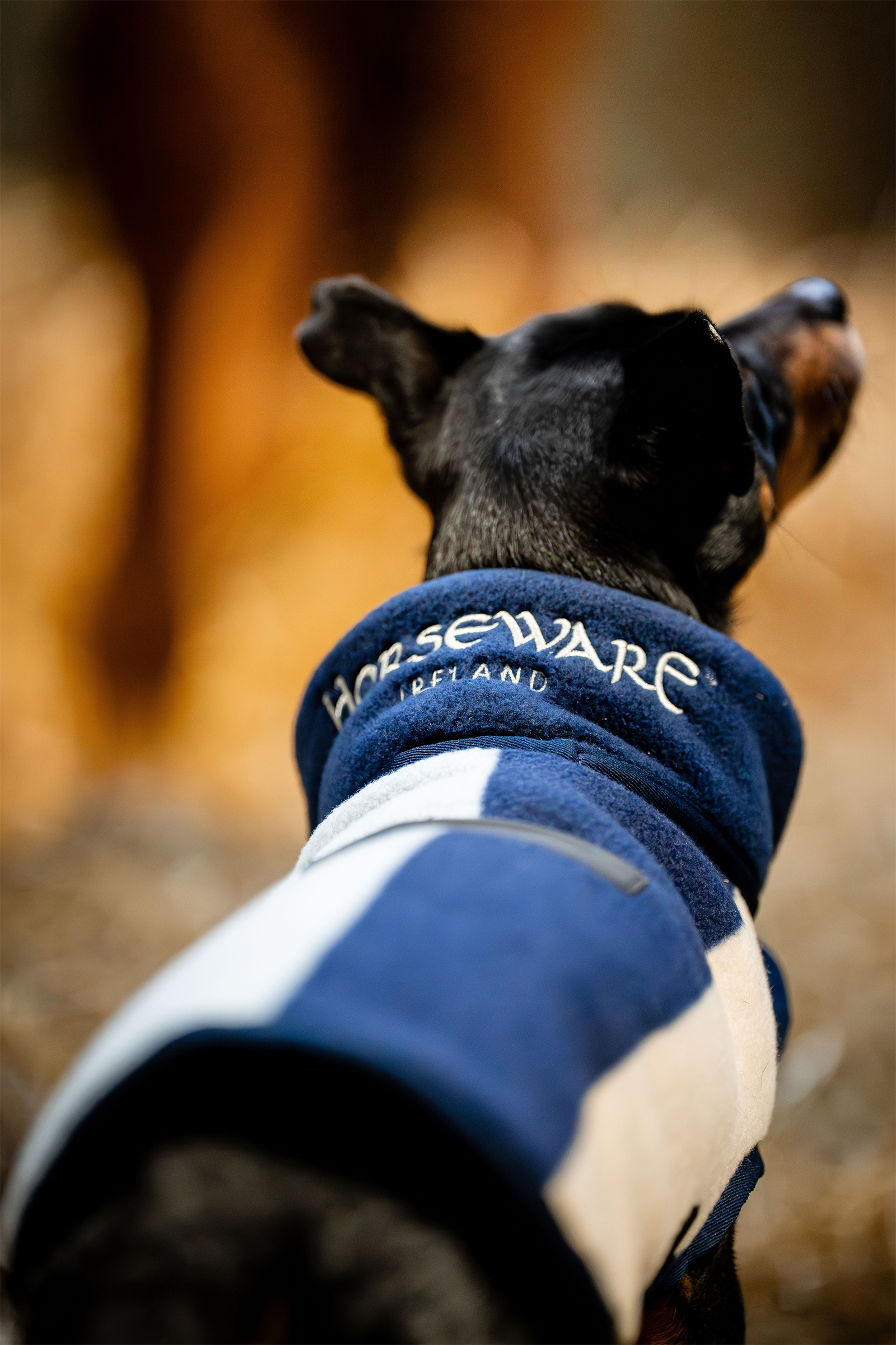 Horseware Signature Hundefleecedecke