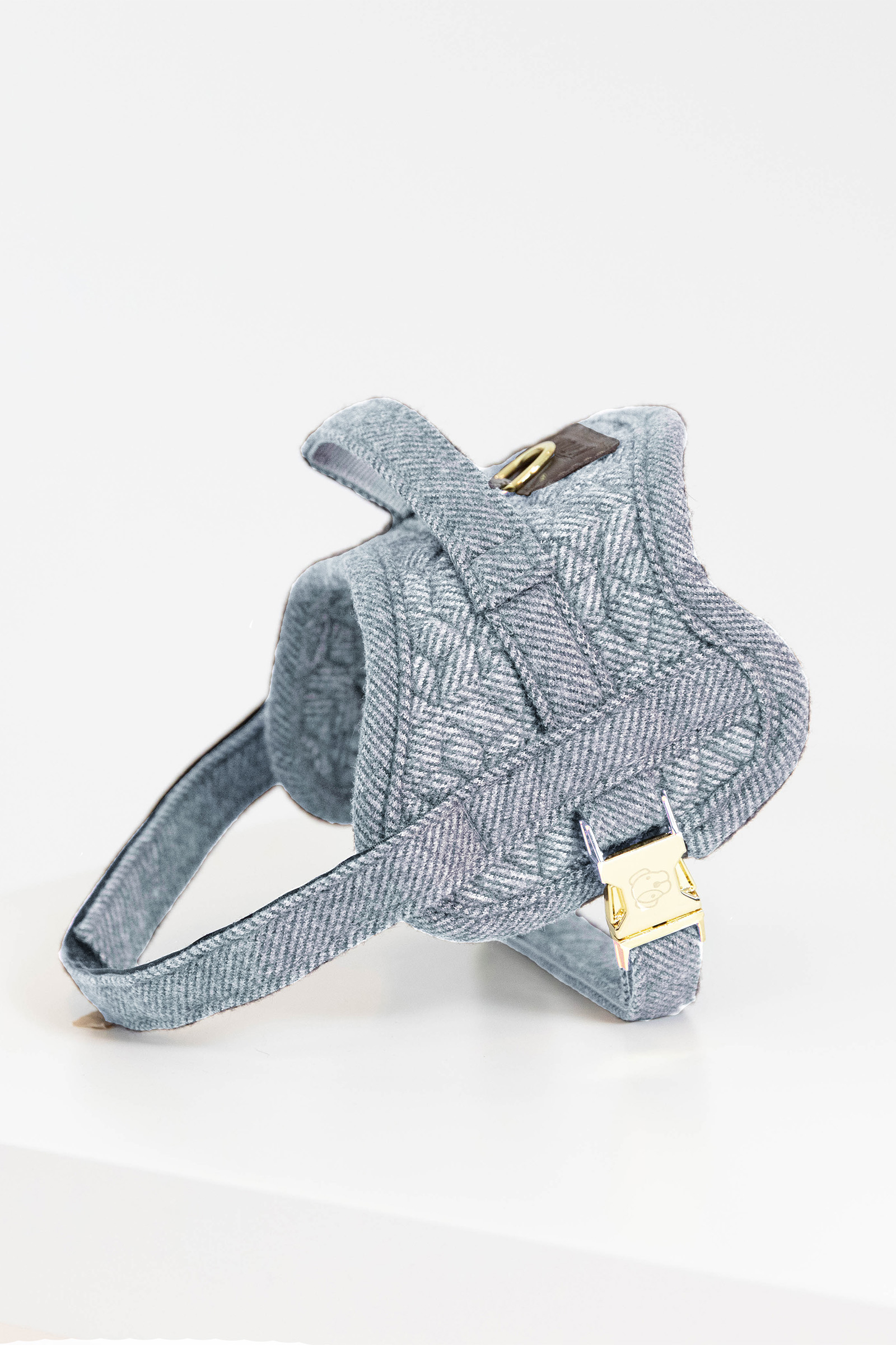 Light Blue Kentucky Dogwear Body Safe Hundegeschirr