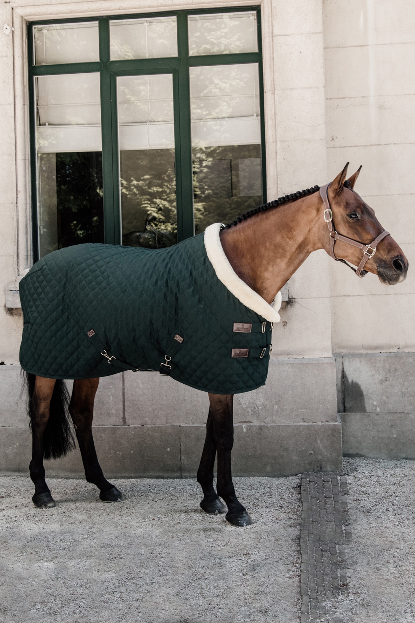 Kentucky Horsewear Show Rug Turnierdecke, 160g