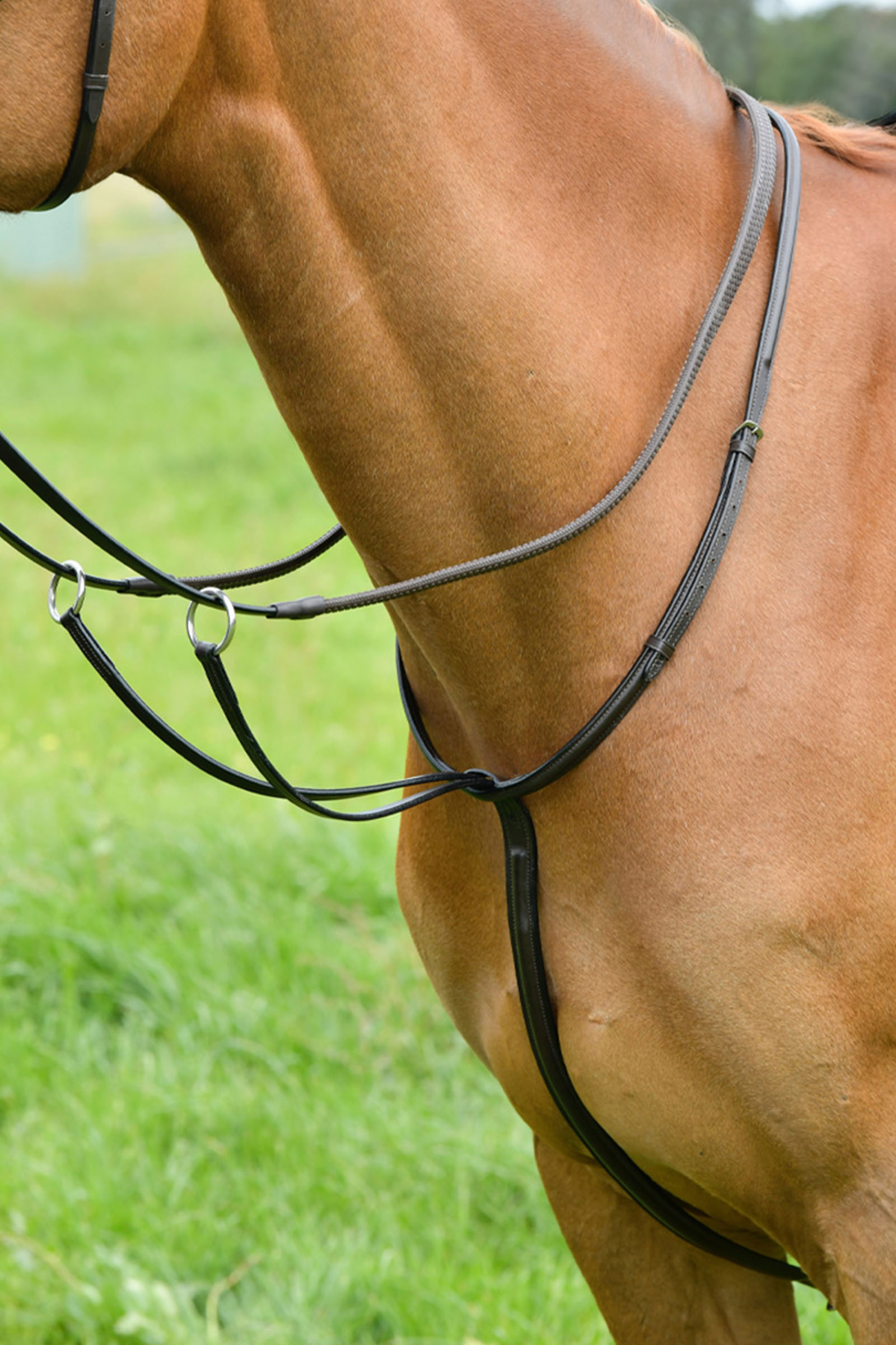 Brown Kincade Classic Laufmartingal mit erhabener Naht