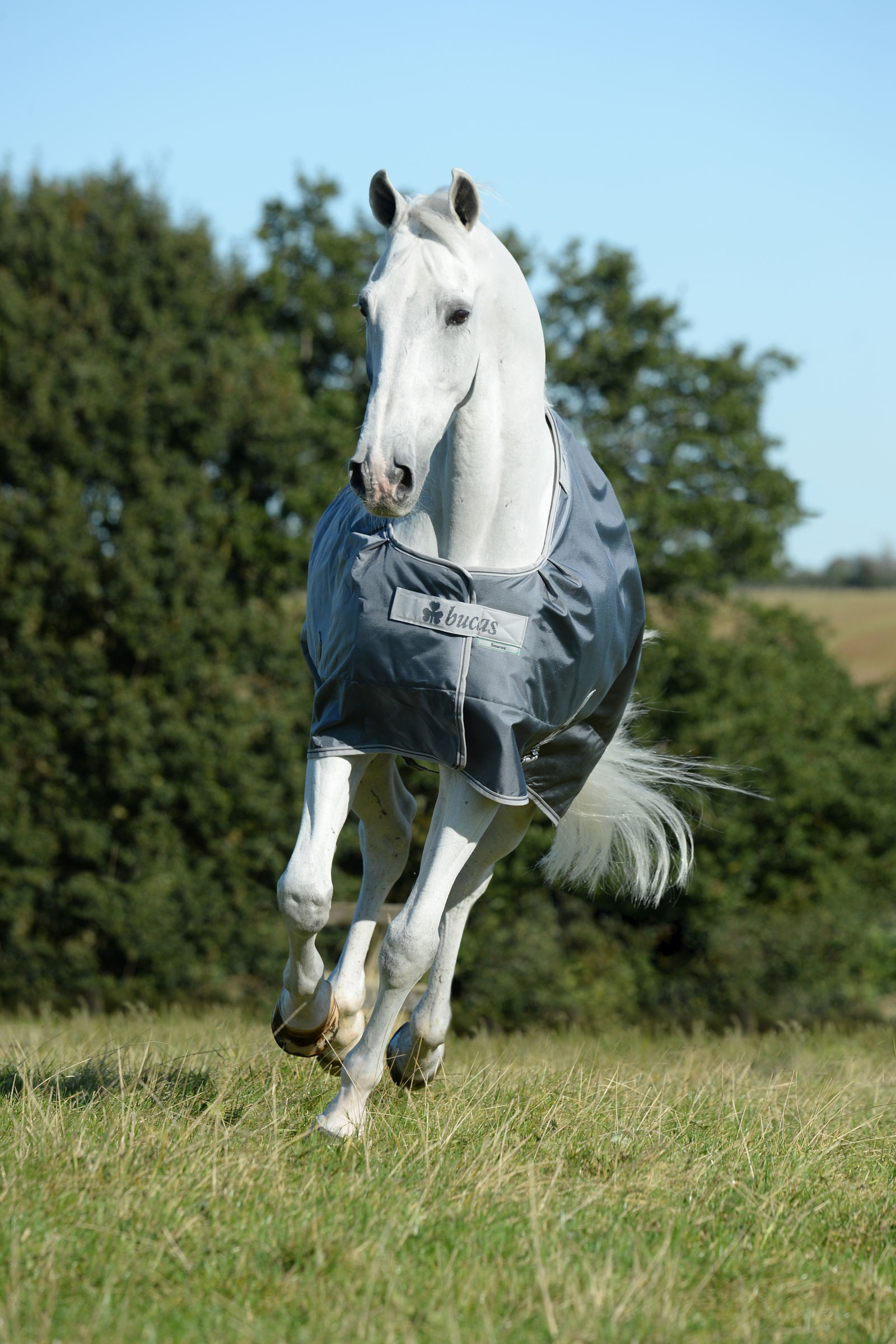 Bucas Smartex Medium Weidedecke, 150g