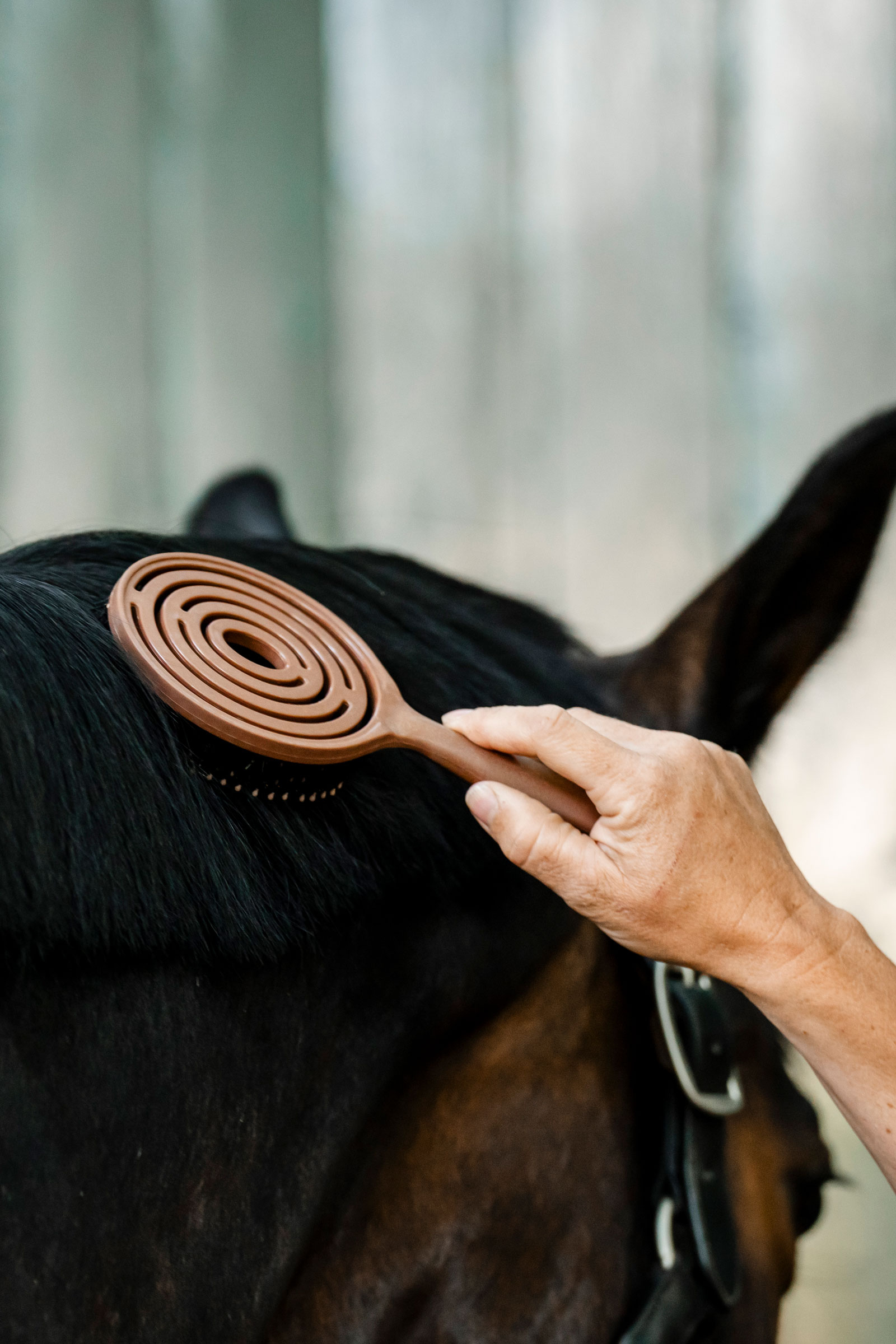 Horseware M&auml;hnen- und Schweifb&uuml;rste