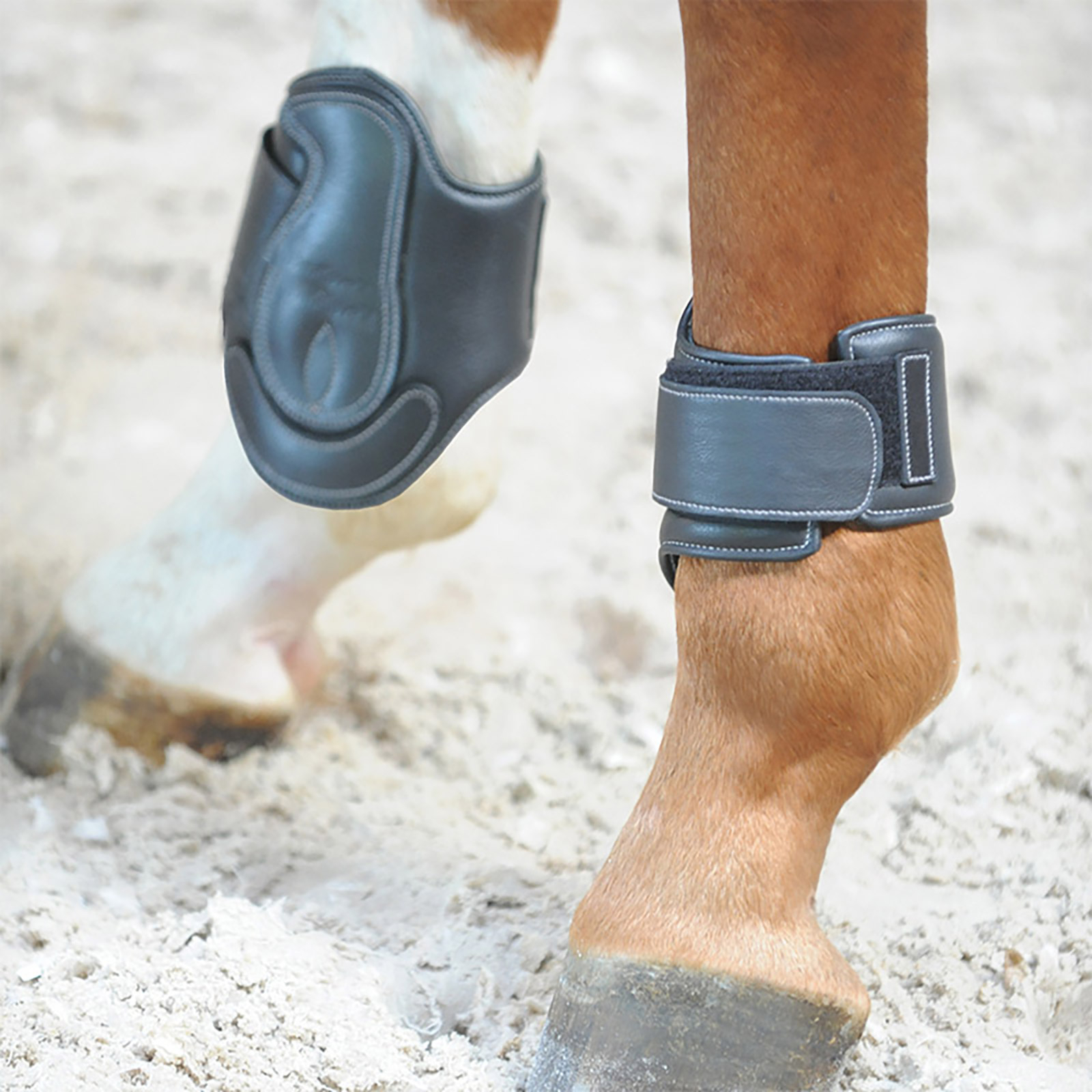 Kavalkade Ledergamschen Soft Dekor