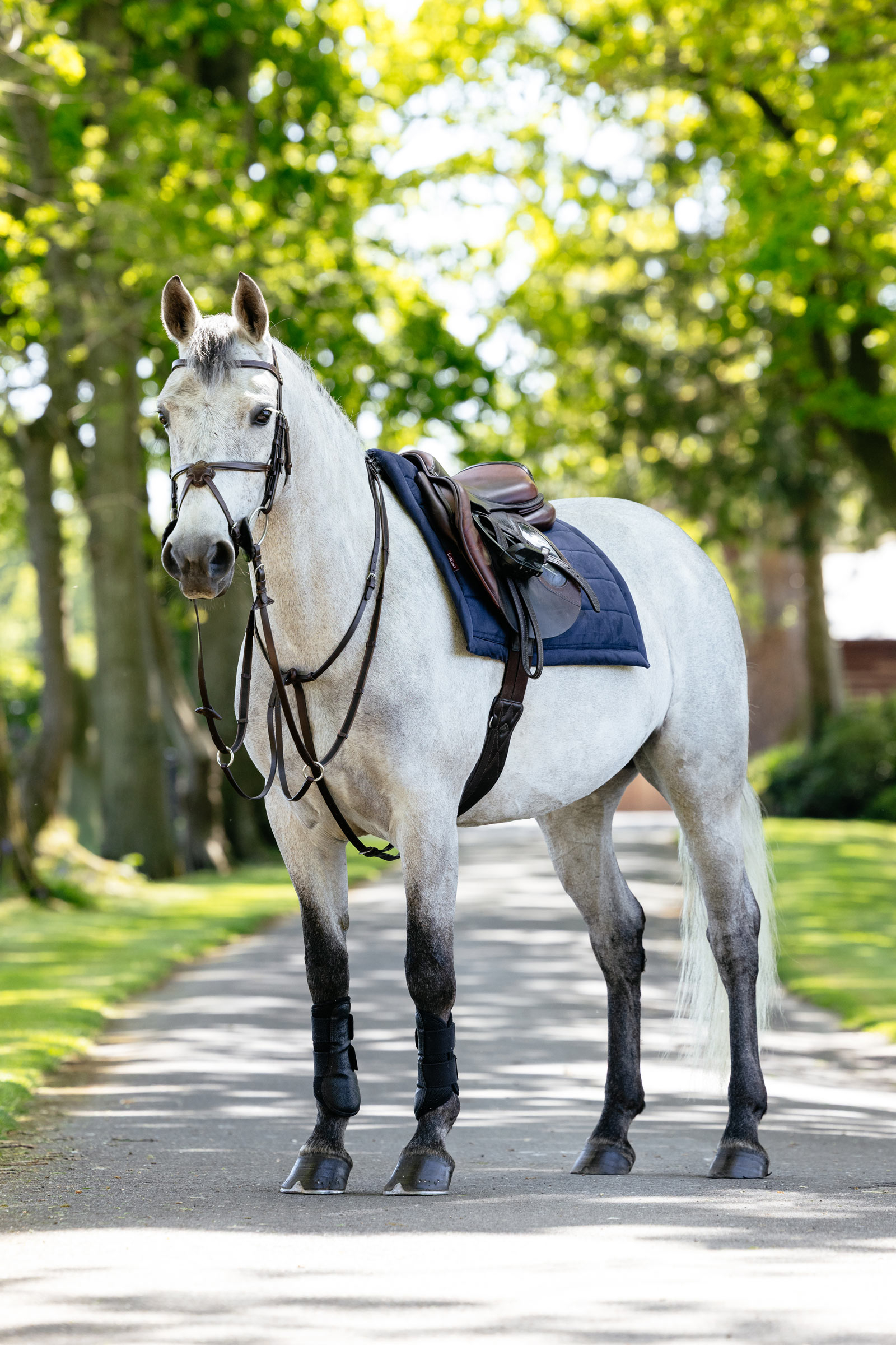 LeMieux Pillow gepolsterte Vielseitigkeitsschabracke