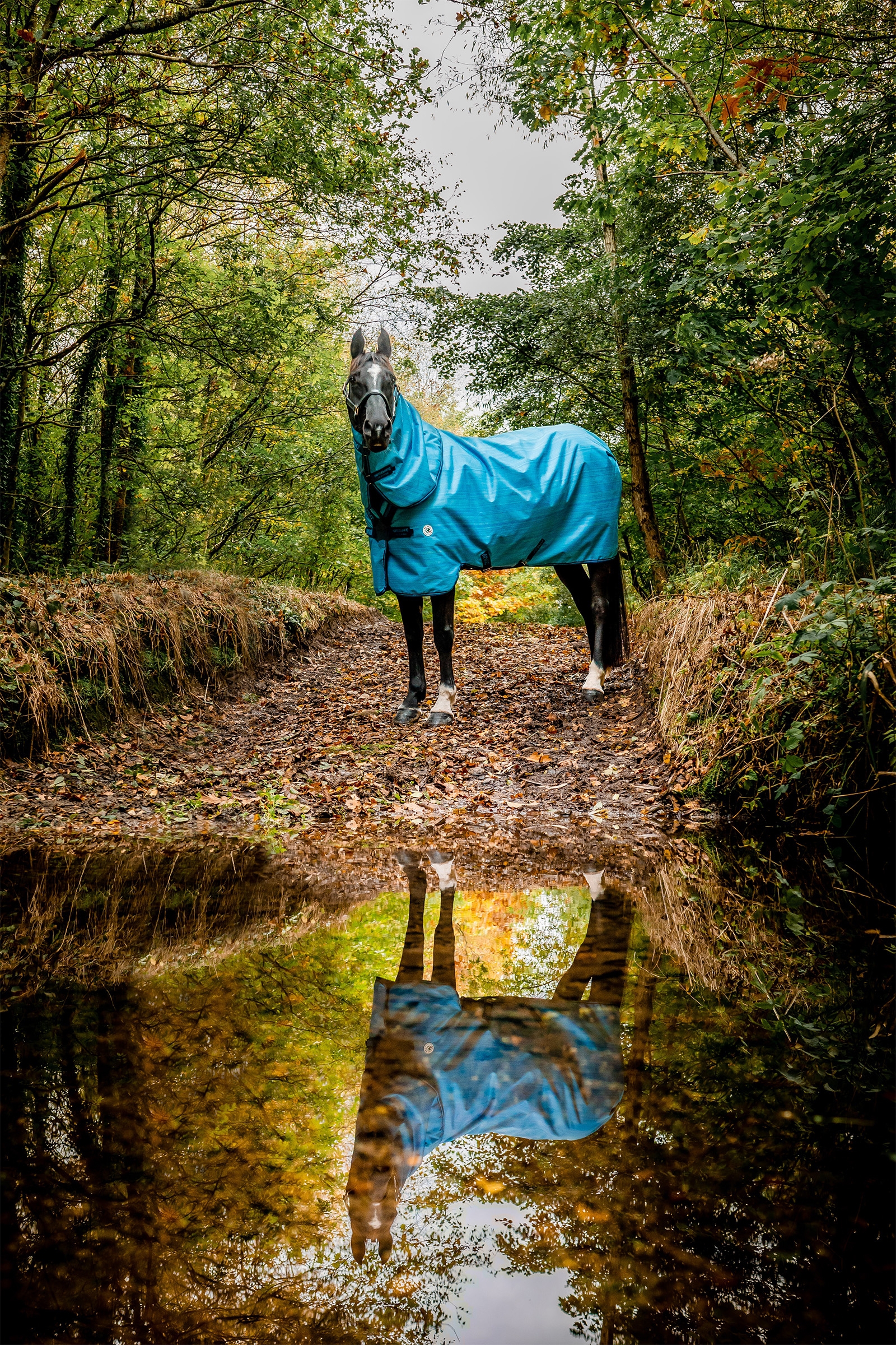 Horseware Amigo Hero 900 Revive Plus Outdoordecke mit abnehmbarem Halsteil, 50 g