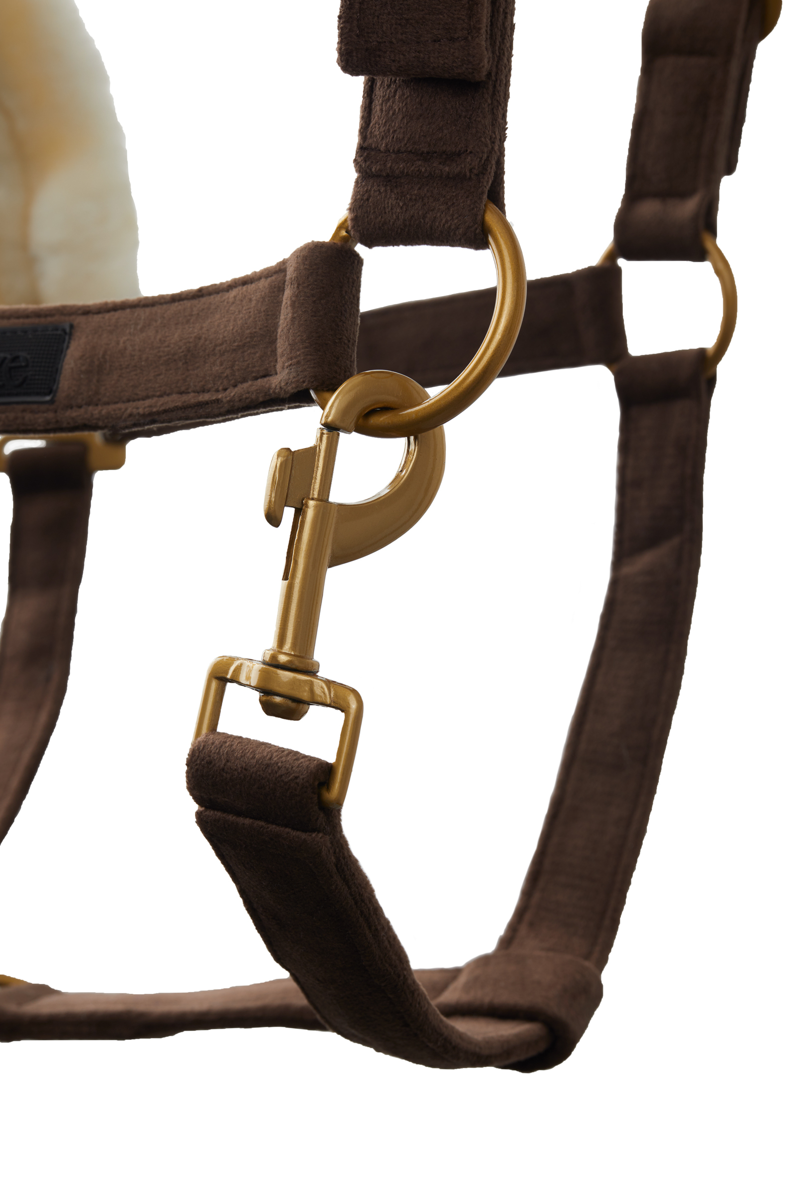 Horze St. Moritz Halfter