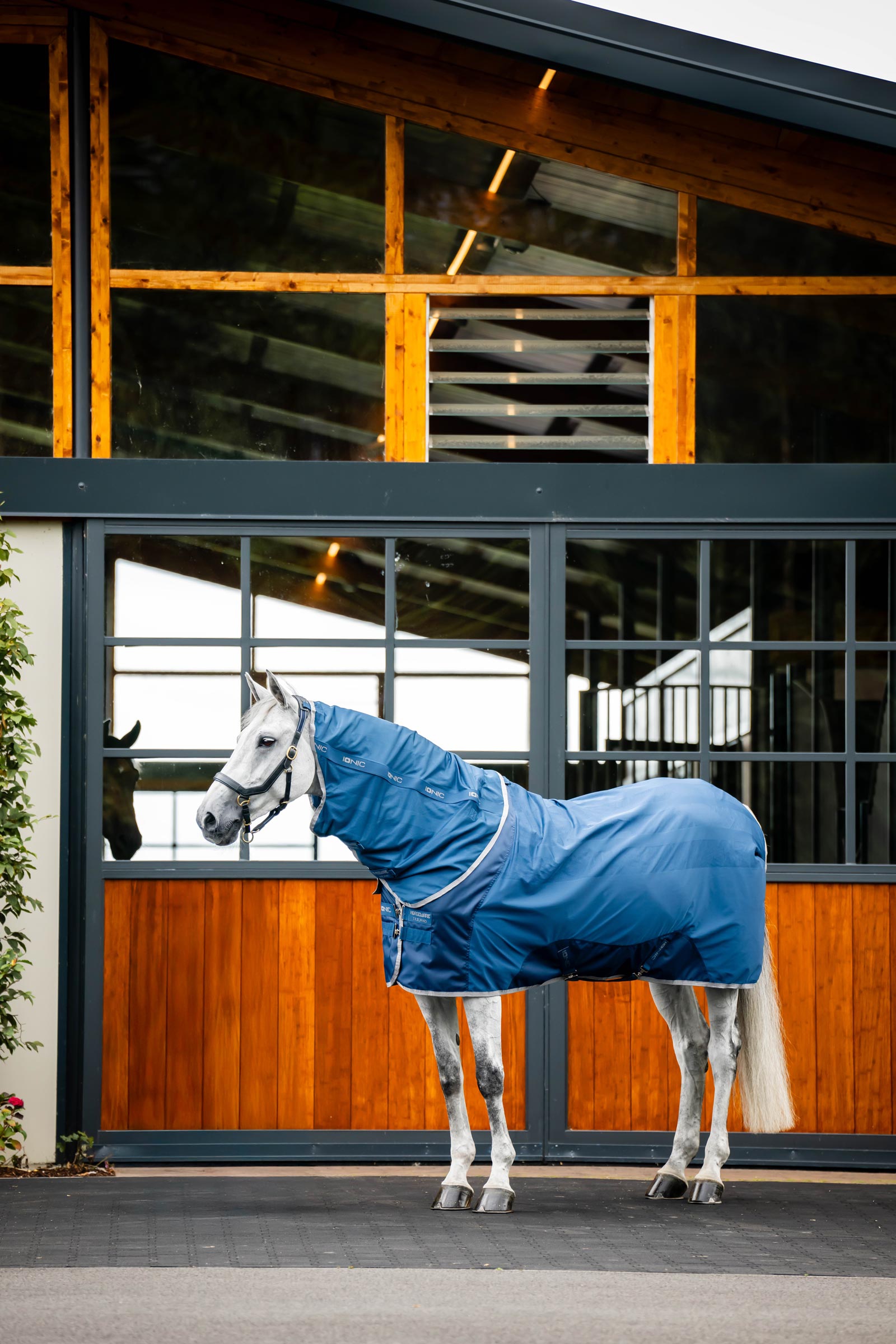 Horseware Ionic Therapy Halsteil f&uuml;r Mesh Abschwitzdecke