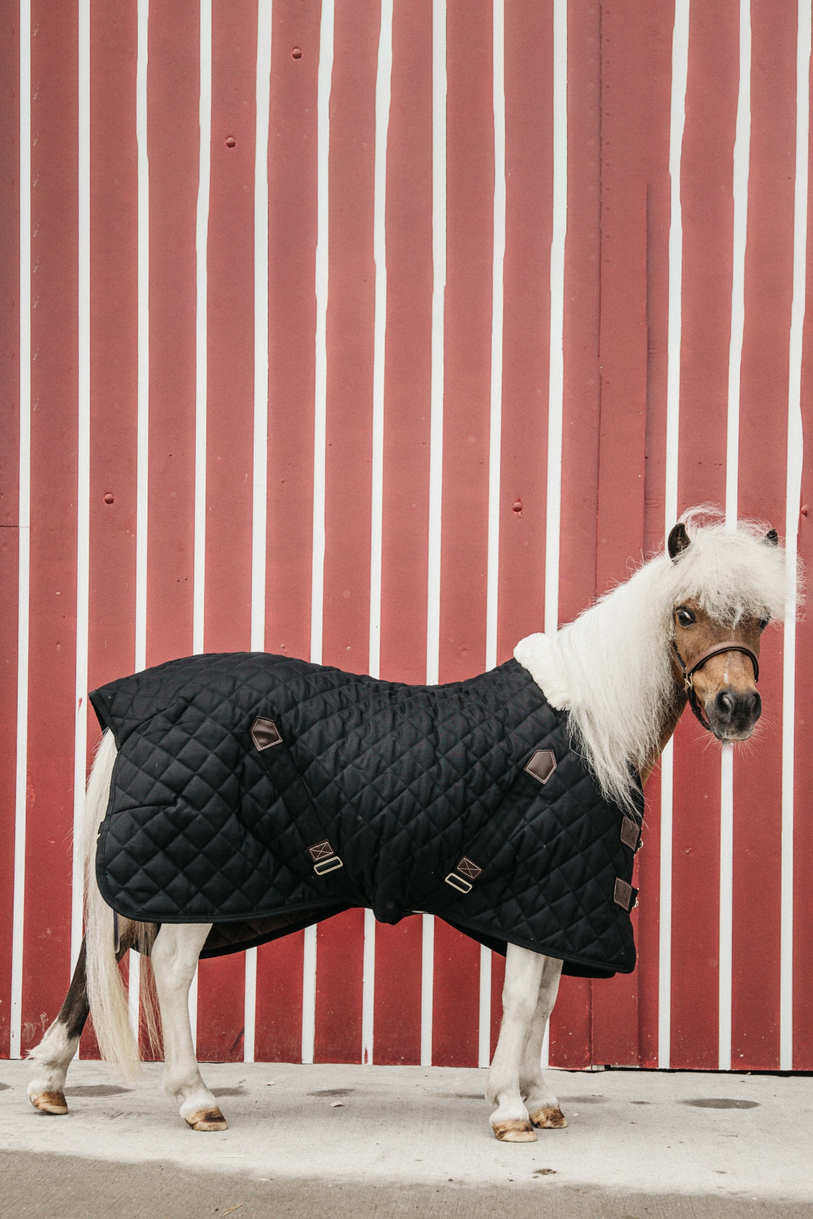 Kentucky Horsewear Stalldecke, 400g