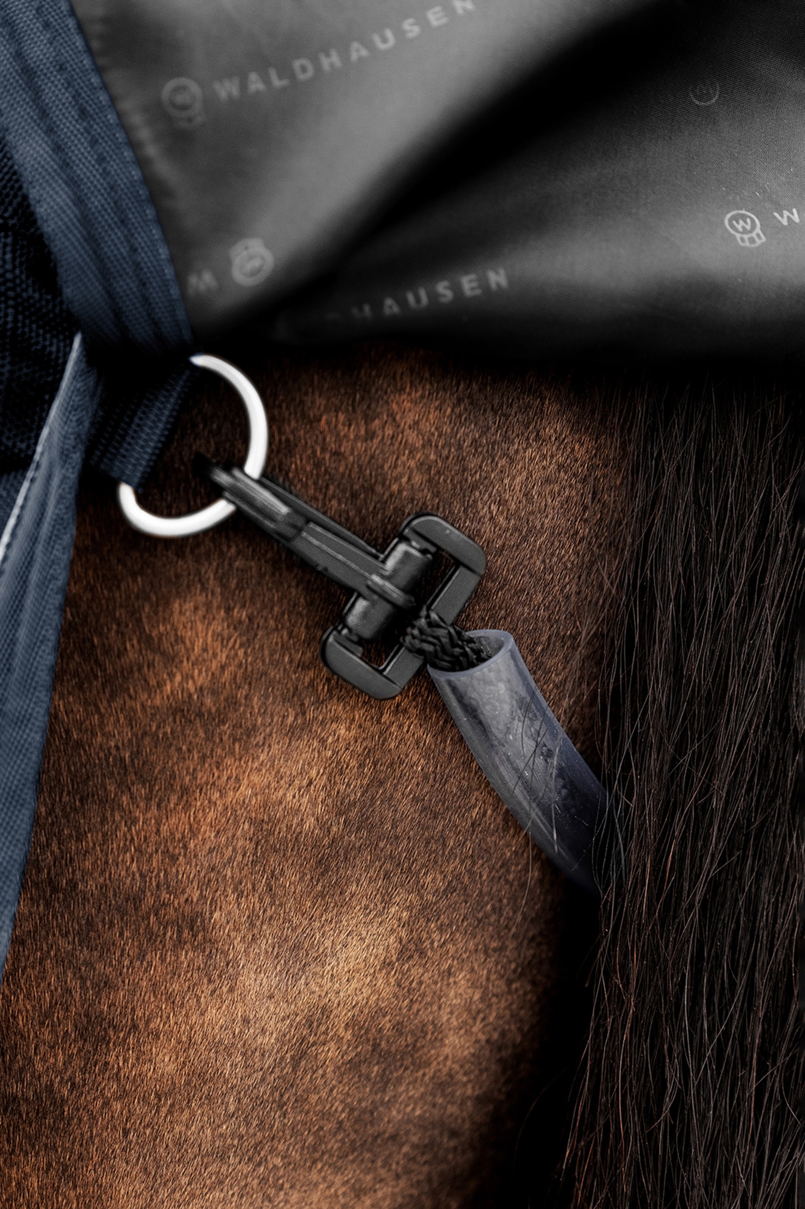 Waldhausen Outdoor Rug Scandic 100g