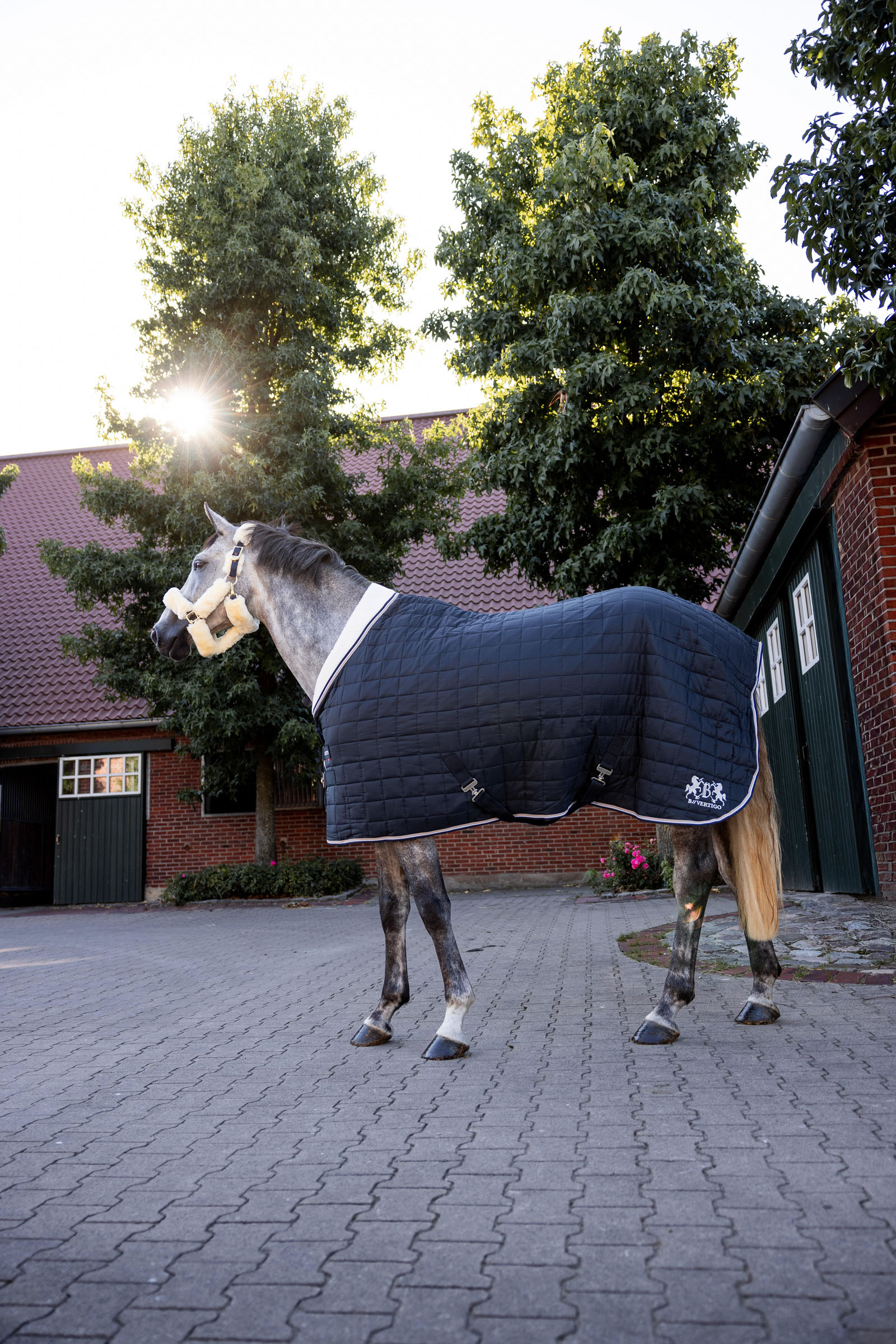 B Vertigo Theo Stalldecke, 150g