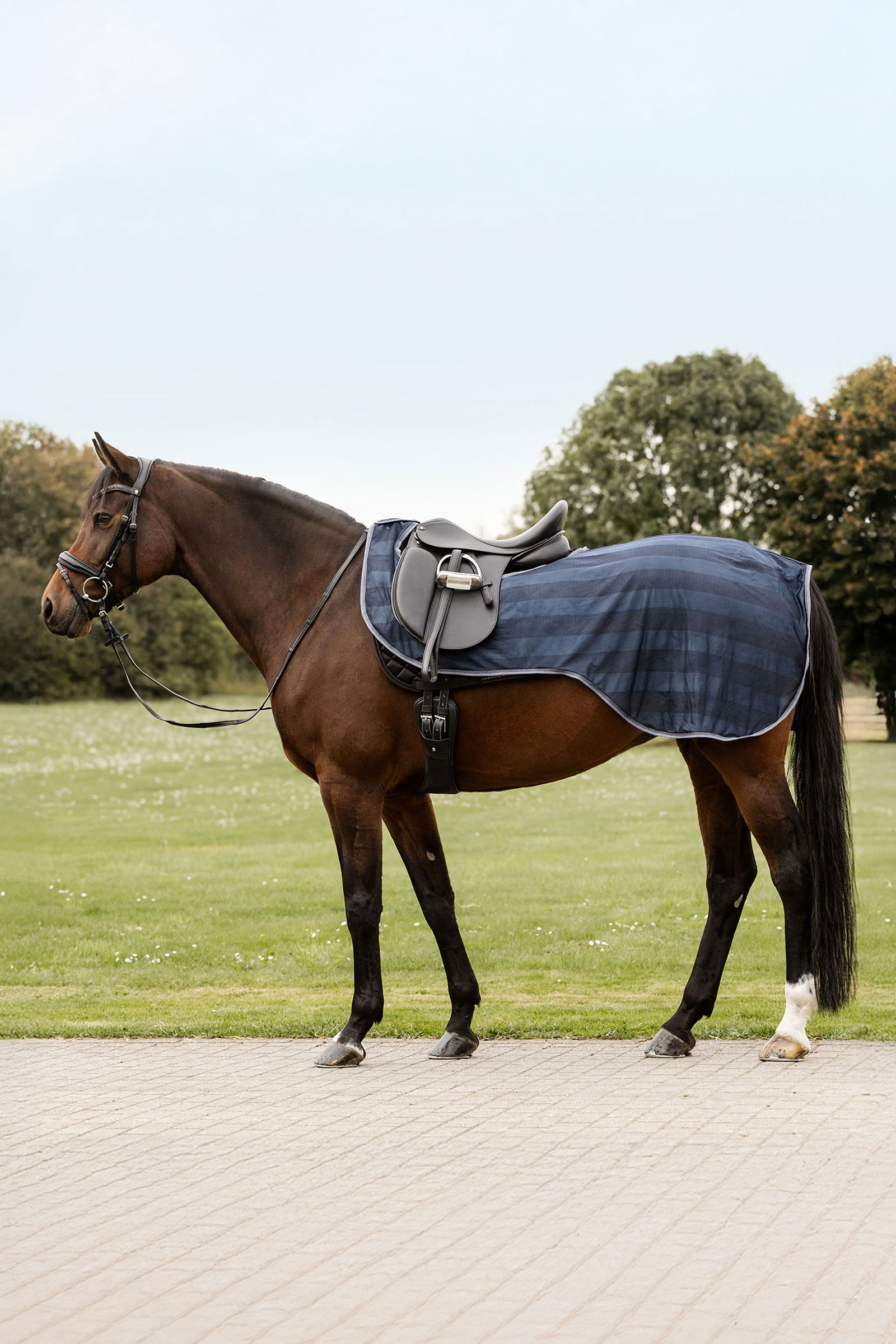 Night Blue Waldhausen Economic Fliegen-Ausreitdecke