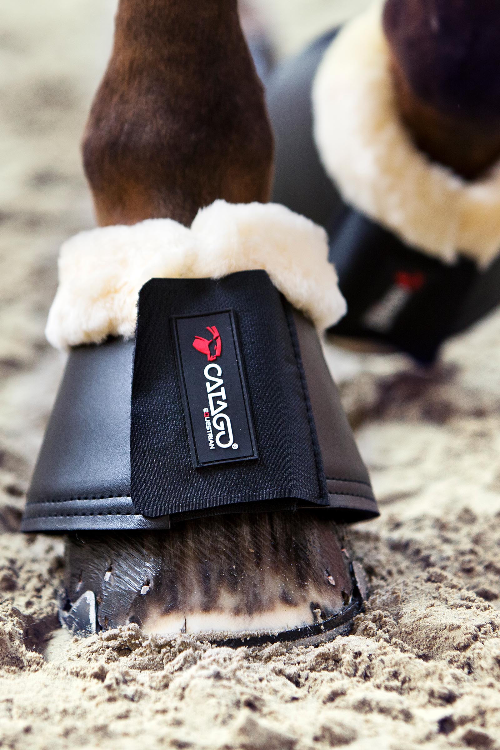 Catago Hufglocken mit Merino