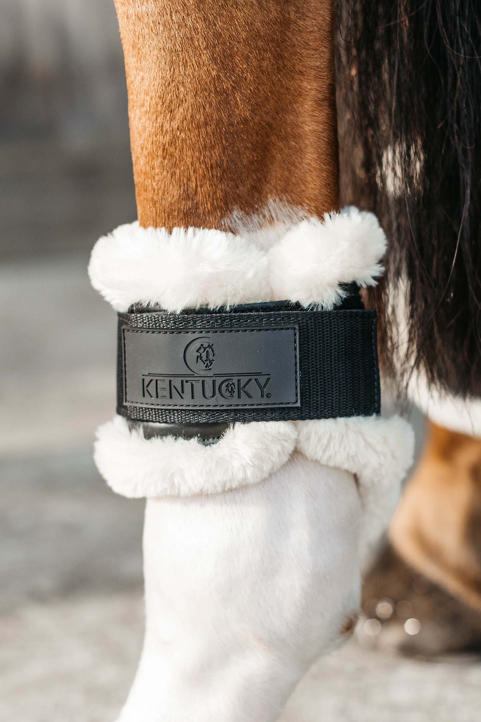 Kentucky Horsewear vegane Lammfell Streichkappen für Jungpferde