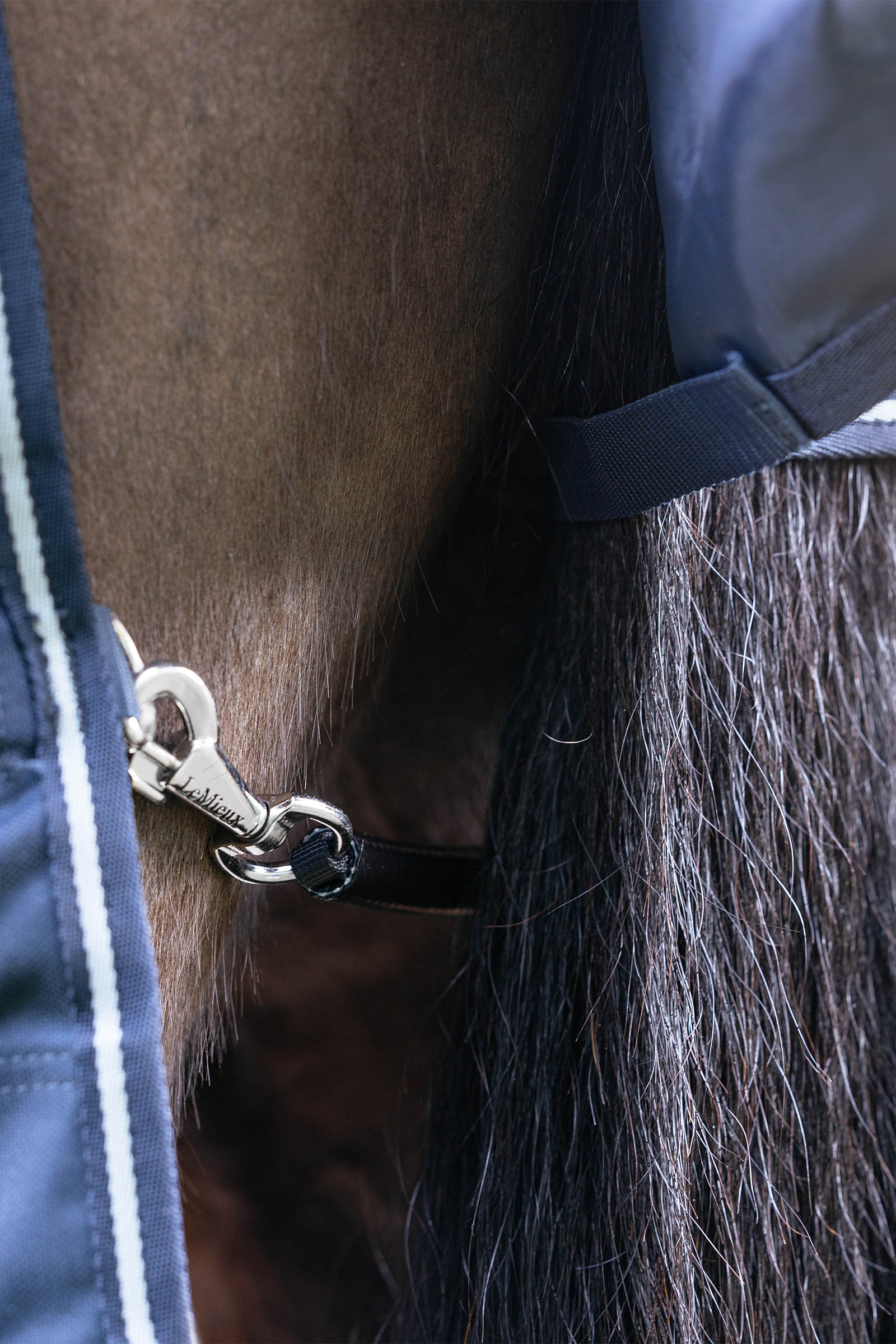 LeMieux Arika Storm-Tek Weidedecke mit abnehmbarem Halsteil, 100 g