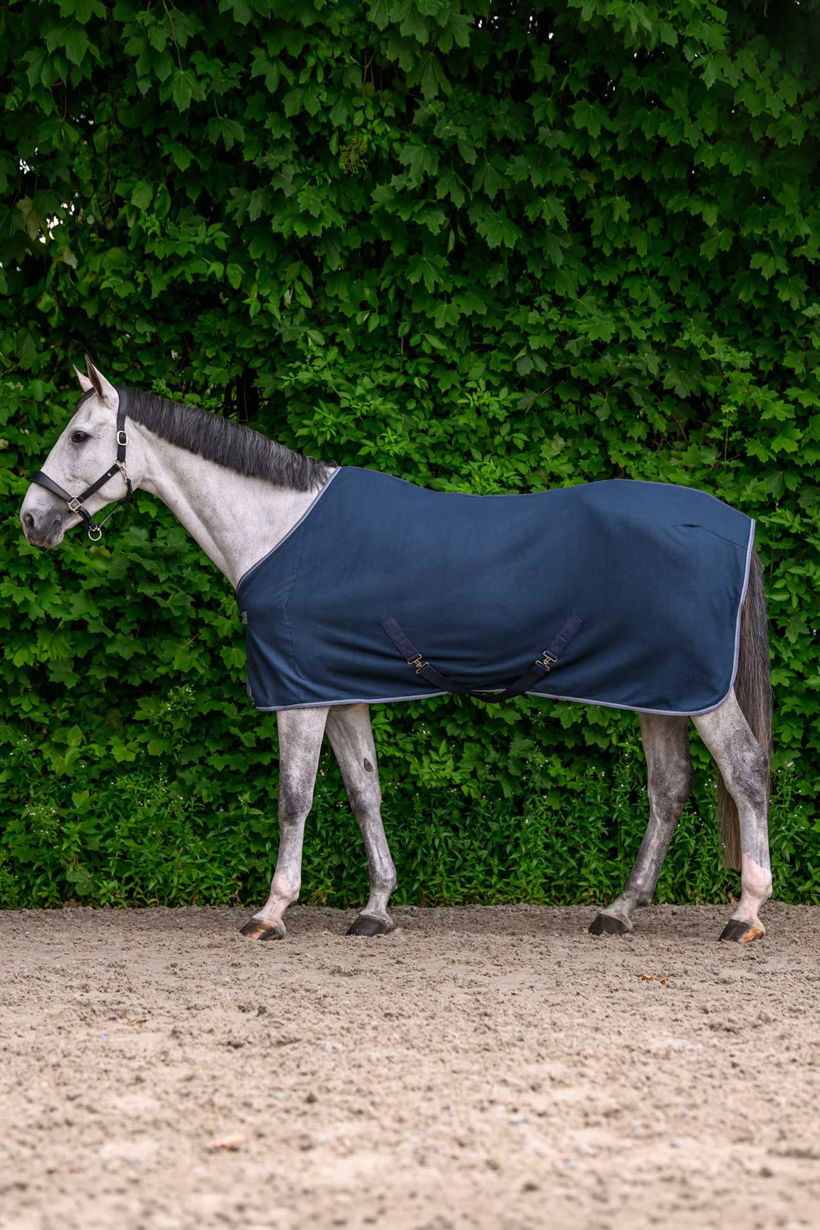 Night Blue Waldhausen ECONOMIC Fleecedecke mit Kreuzgurten