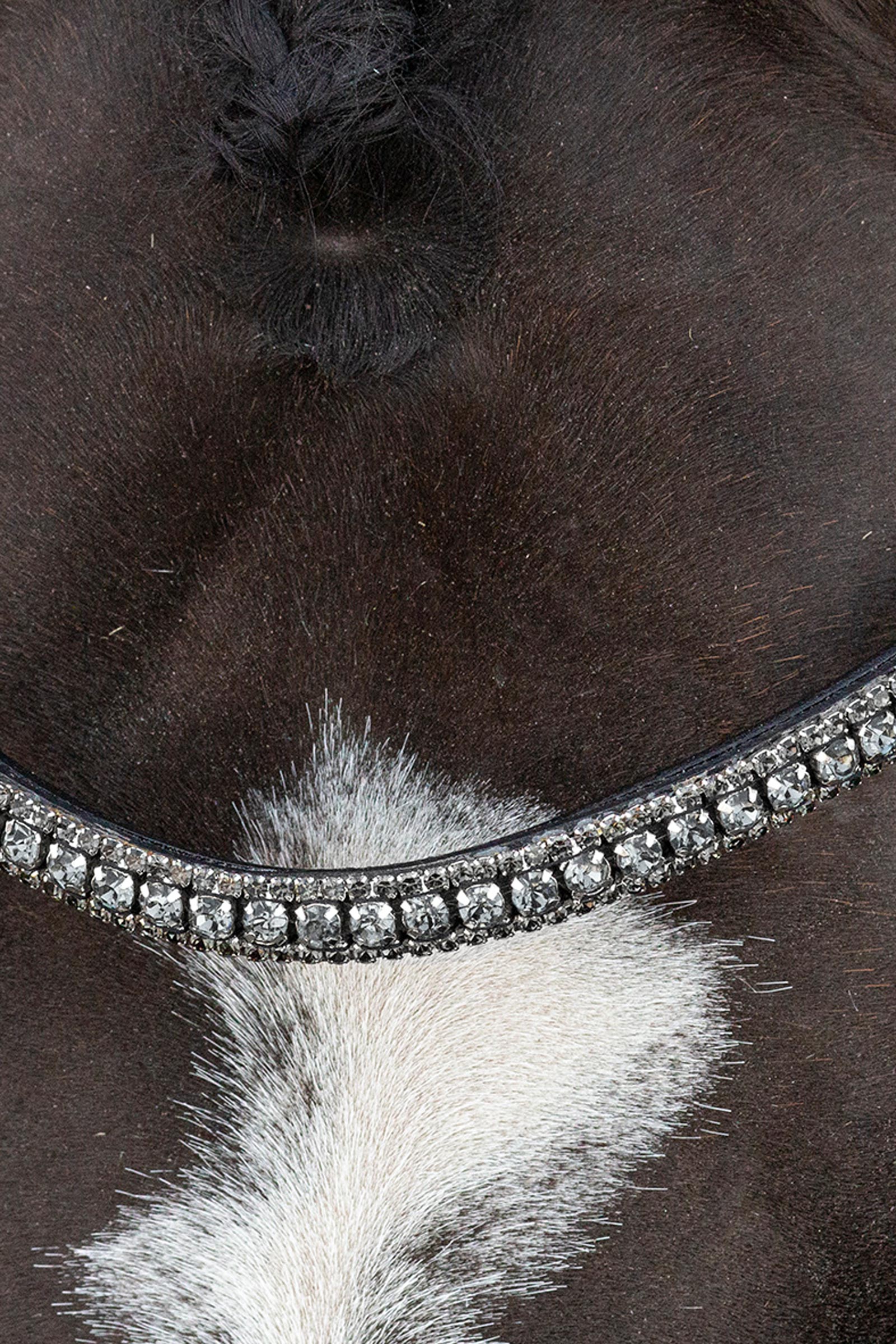 Schockem&ouml;hle Sports Brindisi Kandare