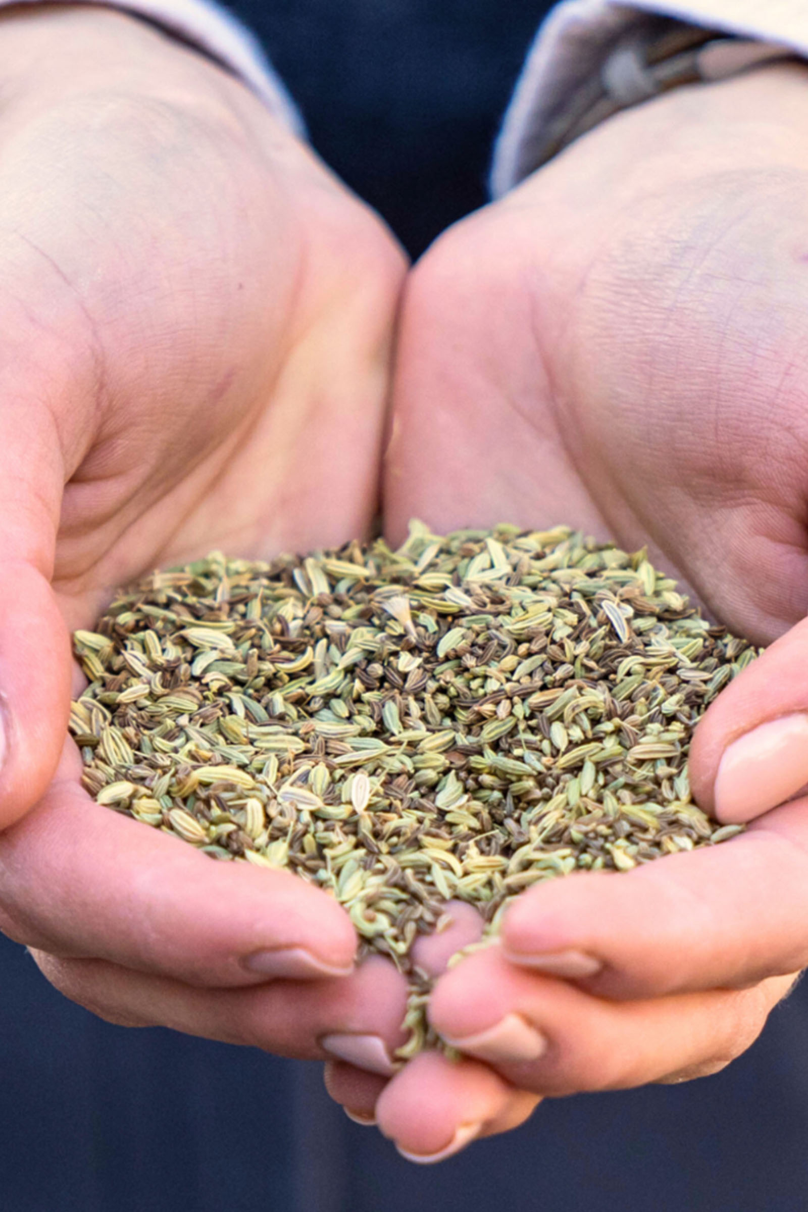 Stiefel Magenkräuter, 1kg