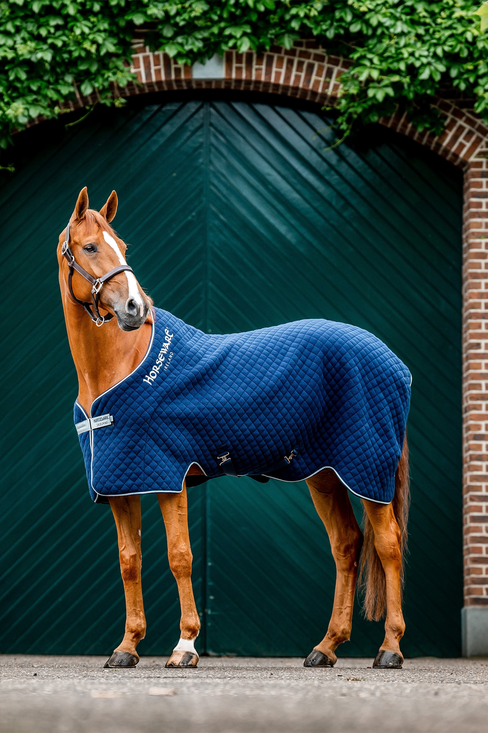 Navy/Navy Horseware Autumn Cooler Abschwitzdecke