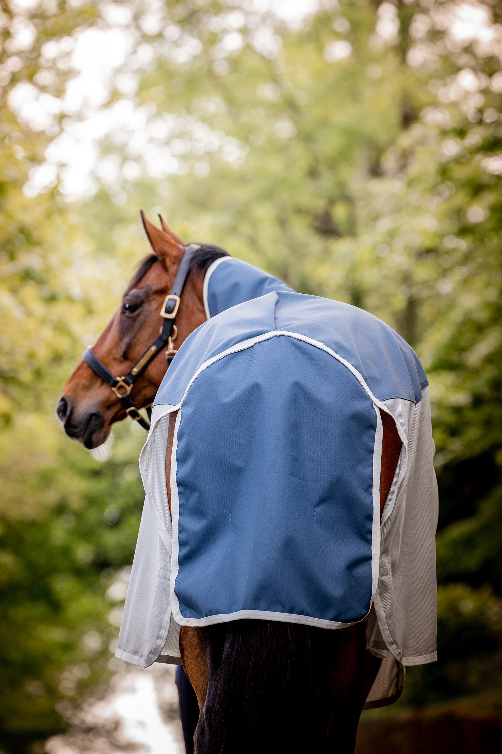 Horseware Amigo AmEco Combi Fliegendecke