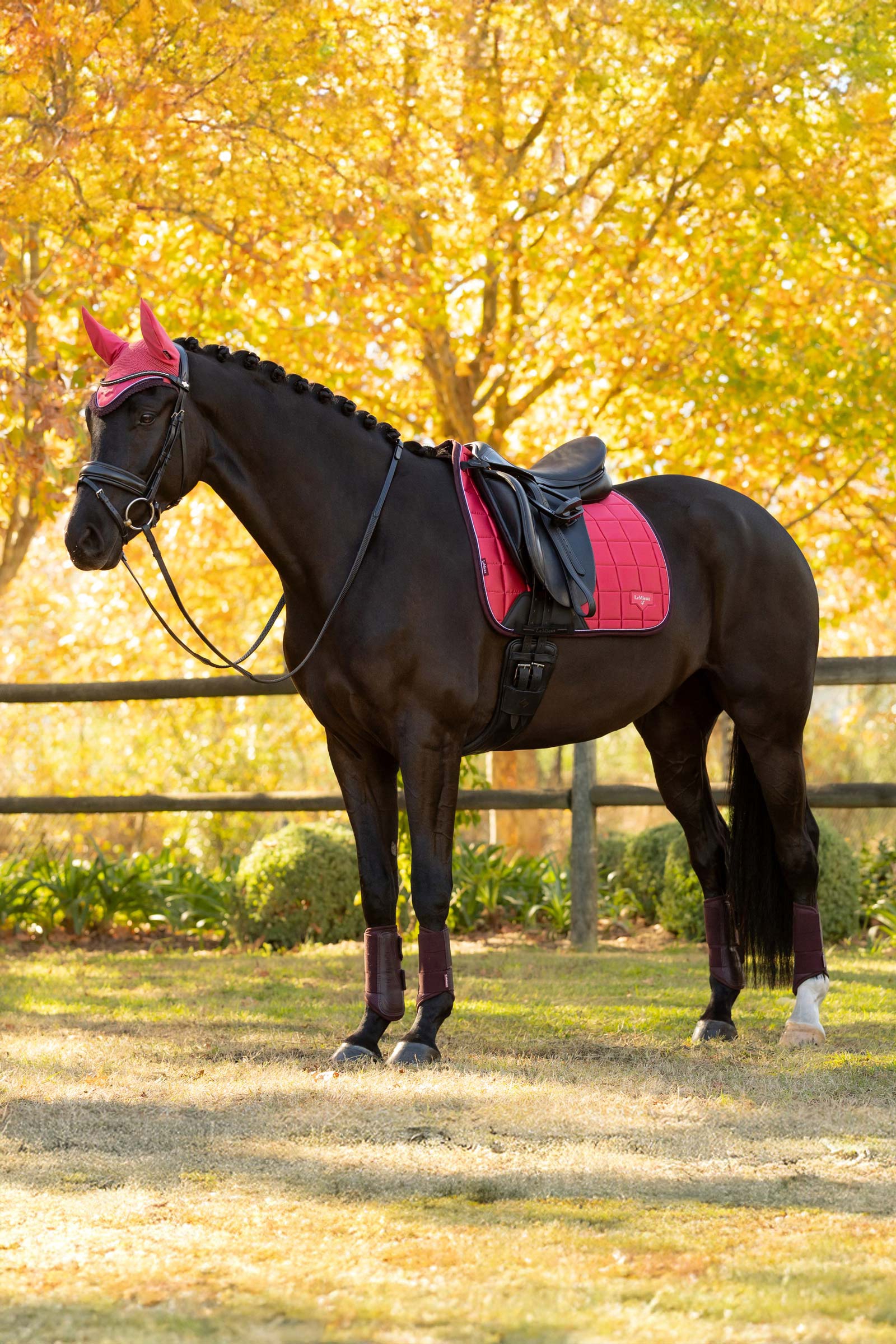 LeMieux Loire Classic Dressurschabracke
