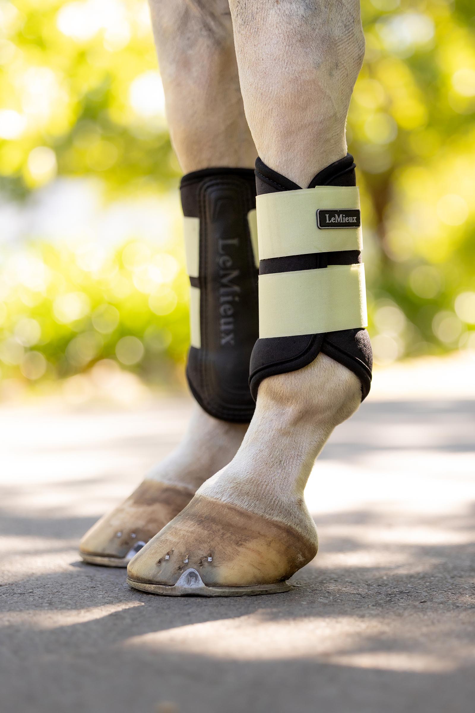 LeMieux Air-Tek Grafter Streichkappen