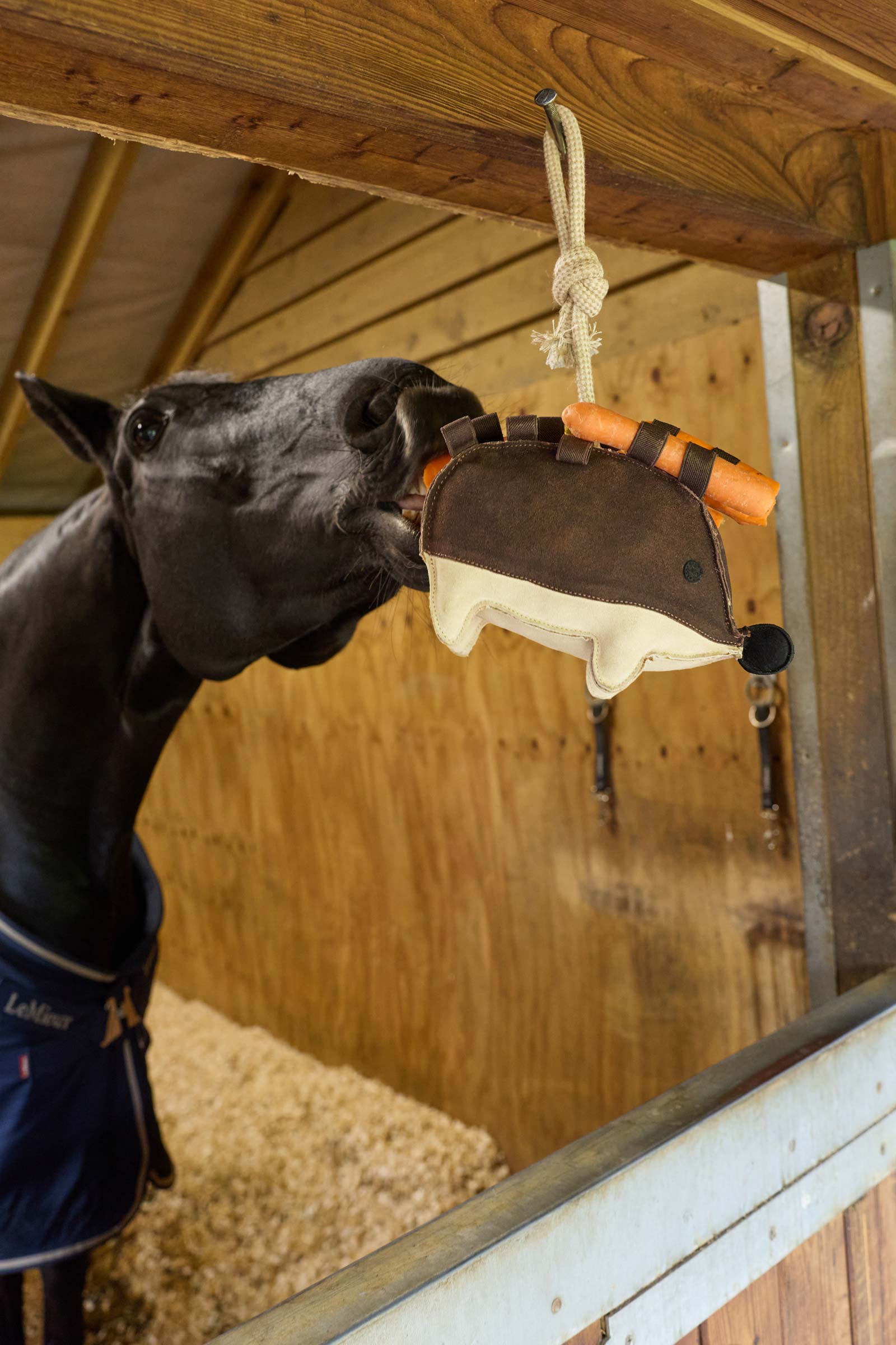 LeMieux Hedgehog Pferdespielzeug