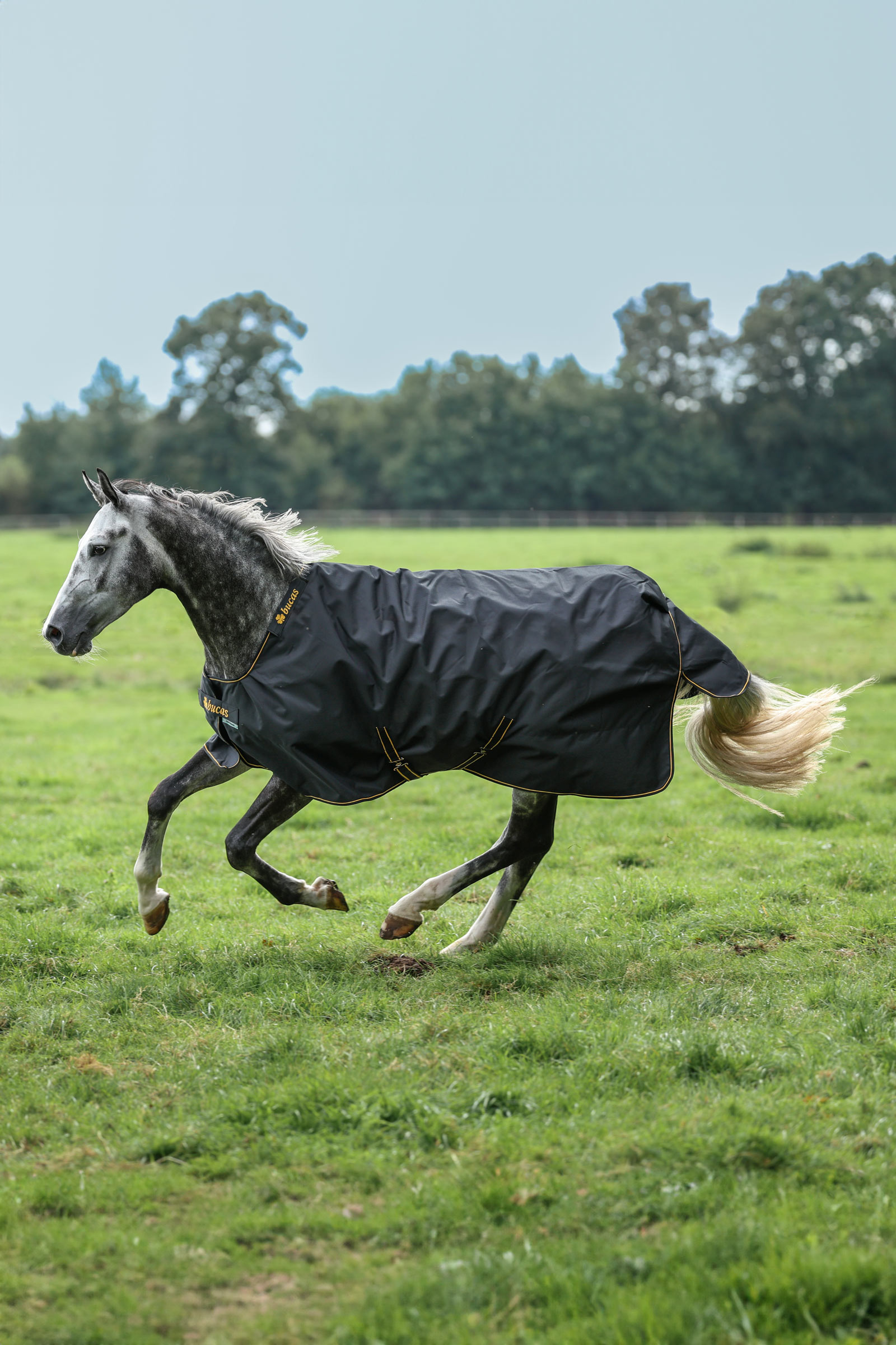 Bucas Irish Weidedecke, 150g