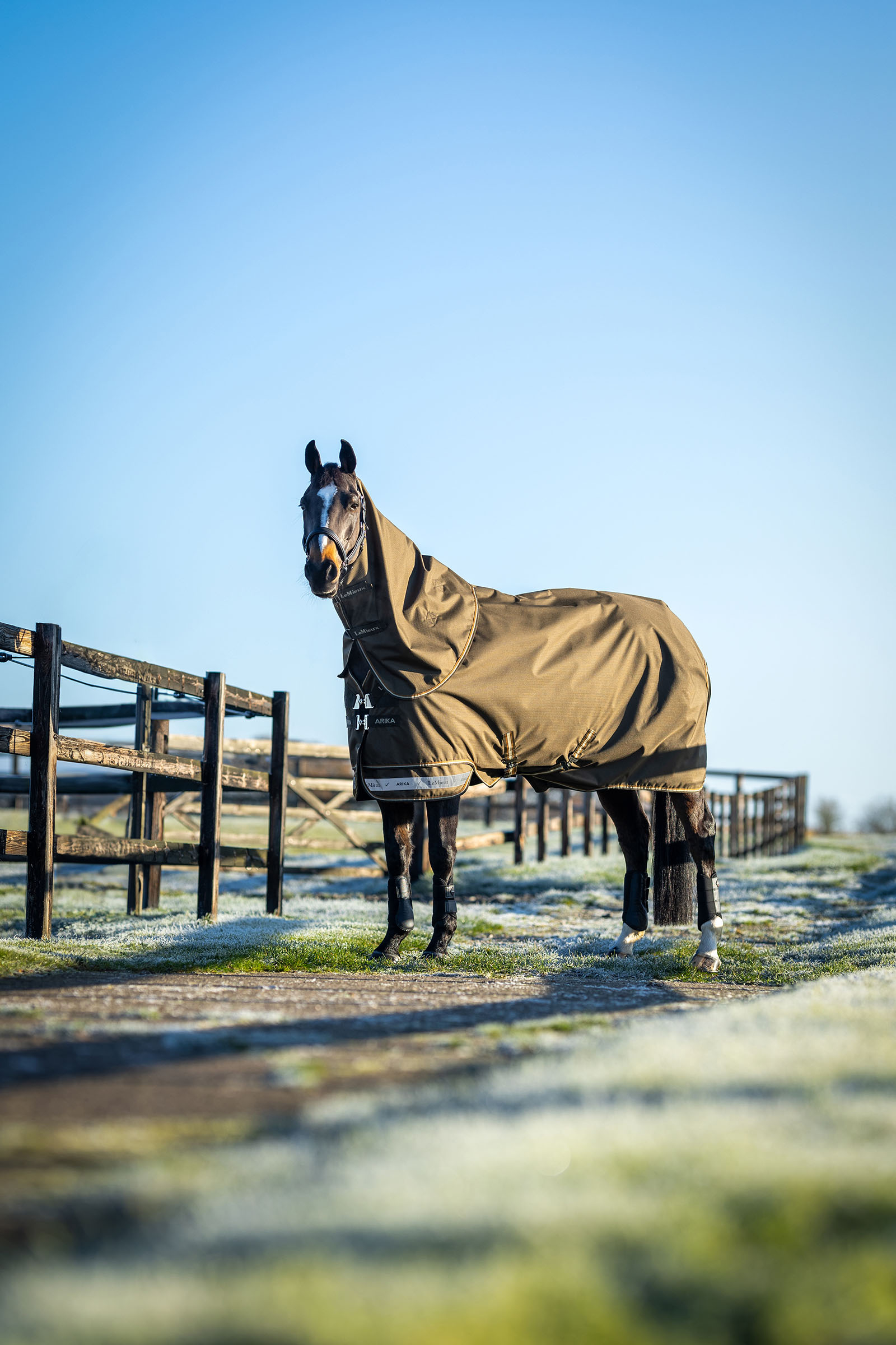 LeMieux Arika Ripstop Outdoordecke 50g