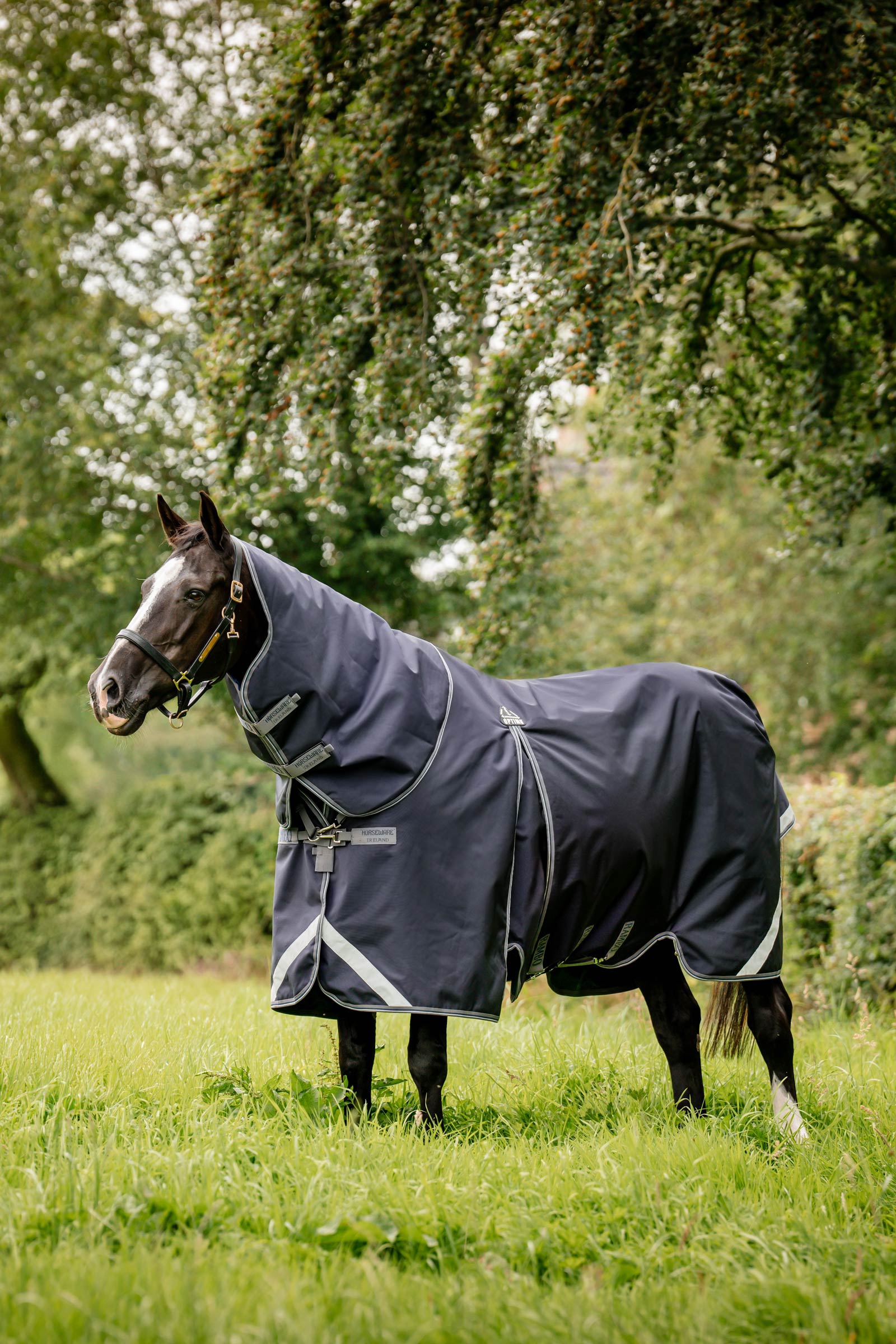Horseware Rambo Optimo Plus Budle Weidedecke (mit 200g Liner)