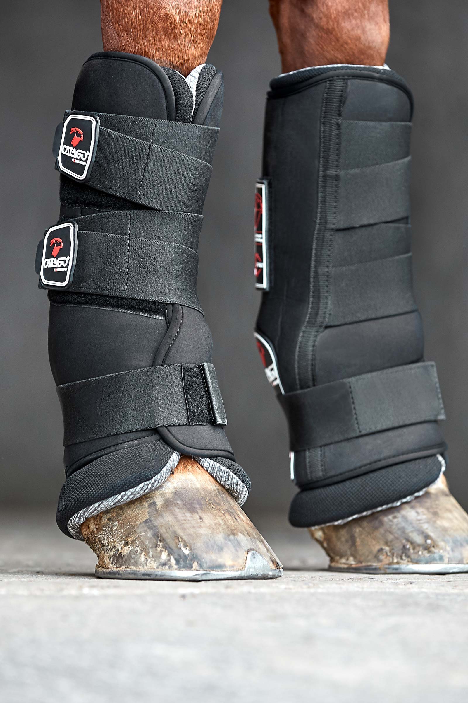 Catago Neoprene Stallgamaschen
