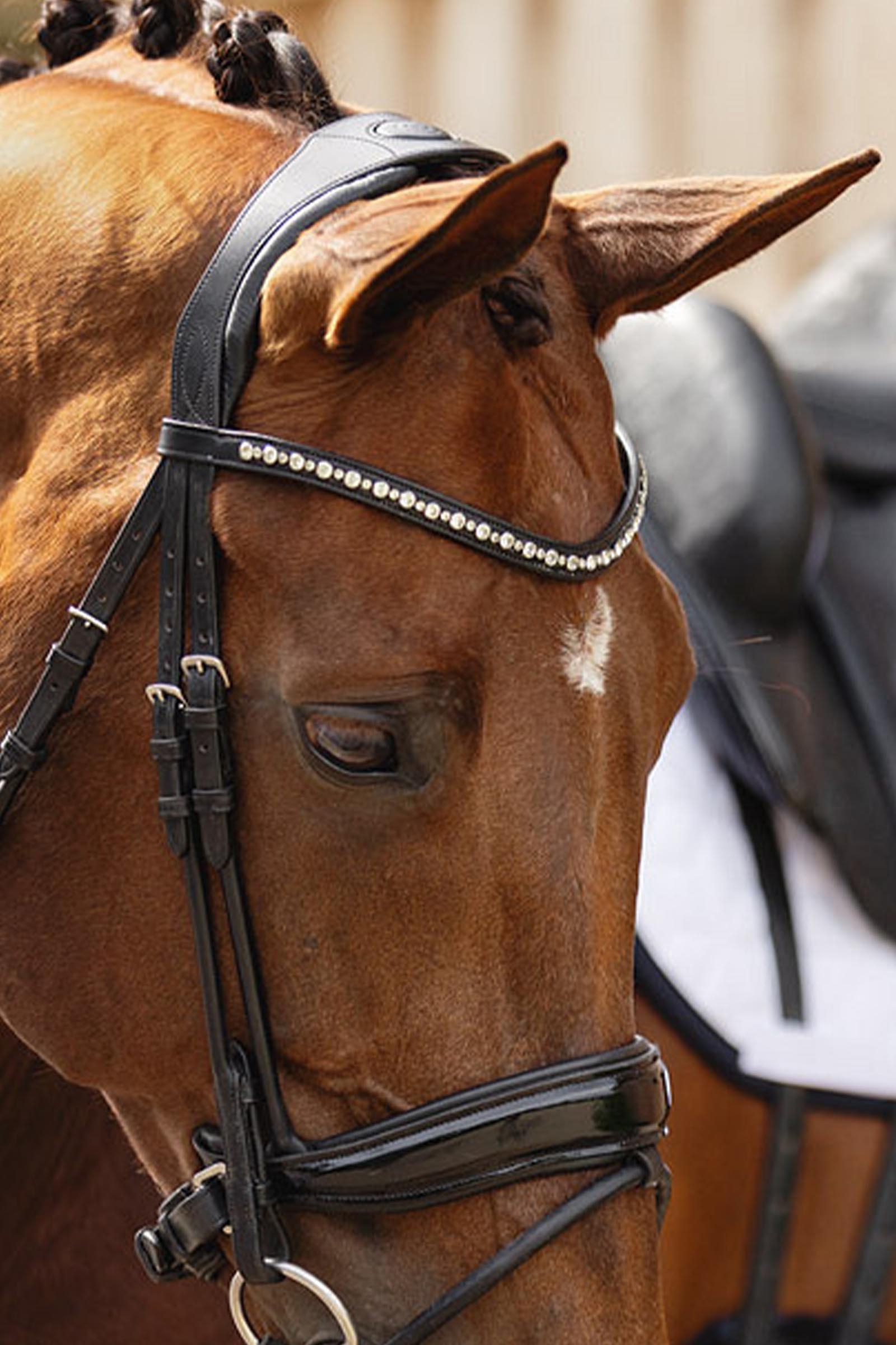 ANKY Anatomic Comfort Fit Trense mit zur&uuml;ckgeschnittenem Genickst&uuml;ck