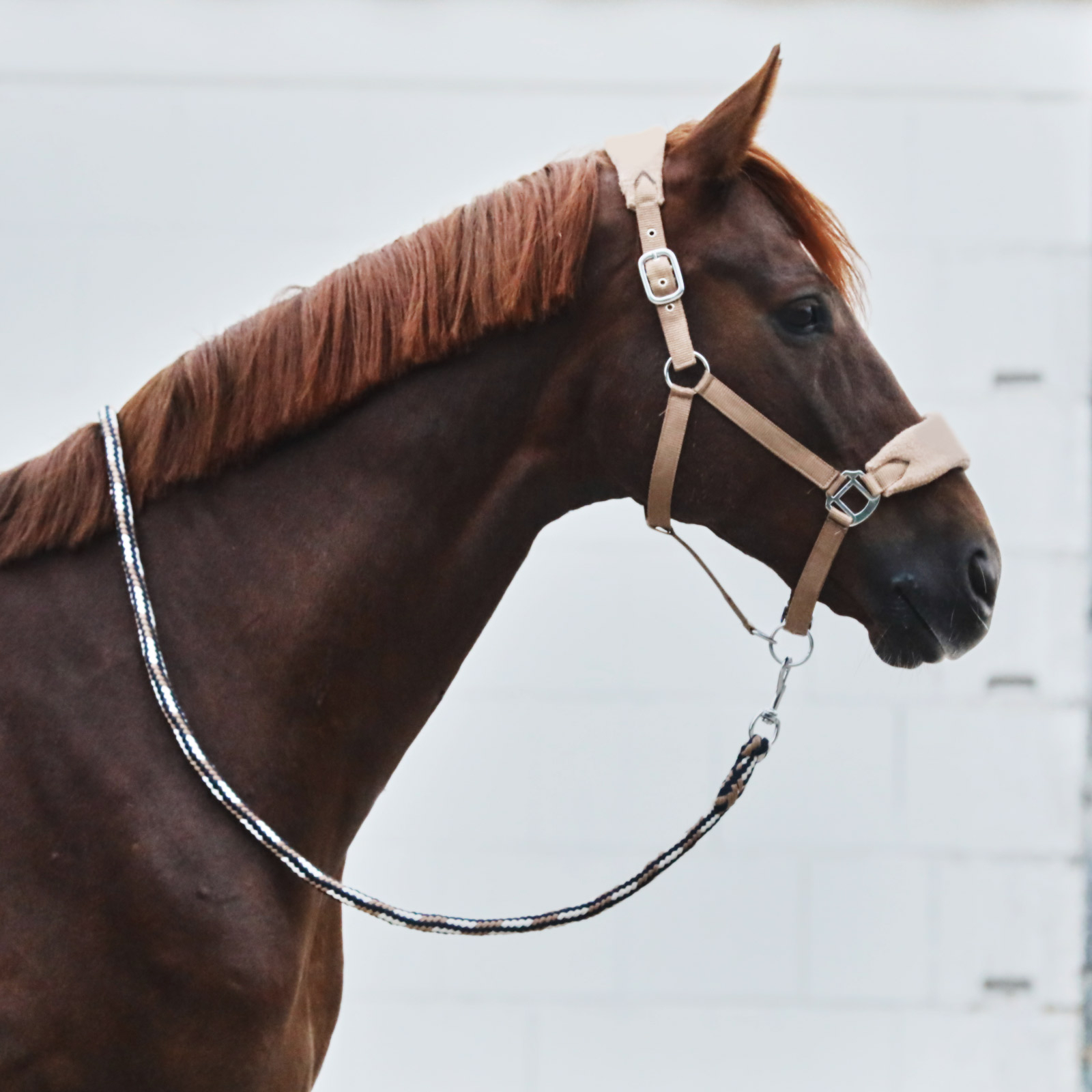 Horze Kiel Führstrick