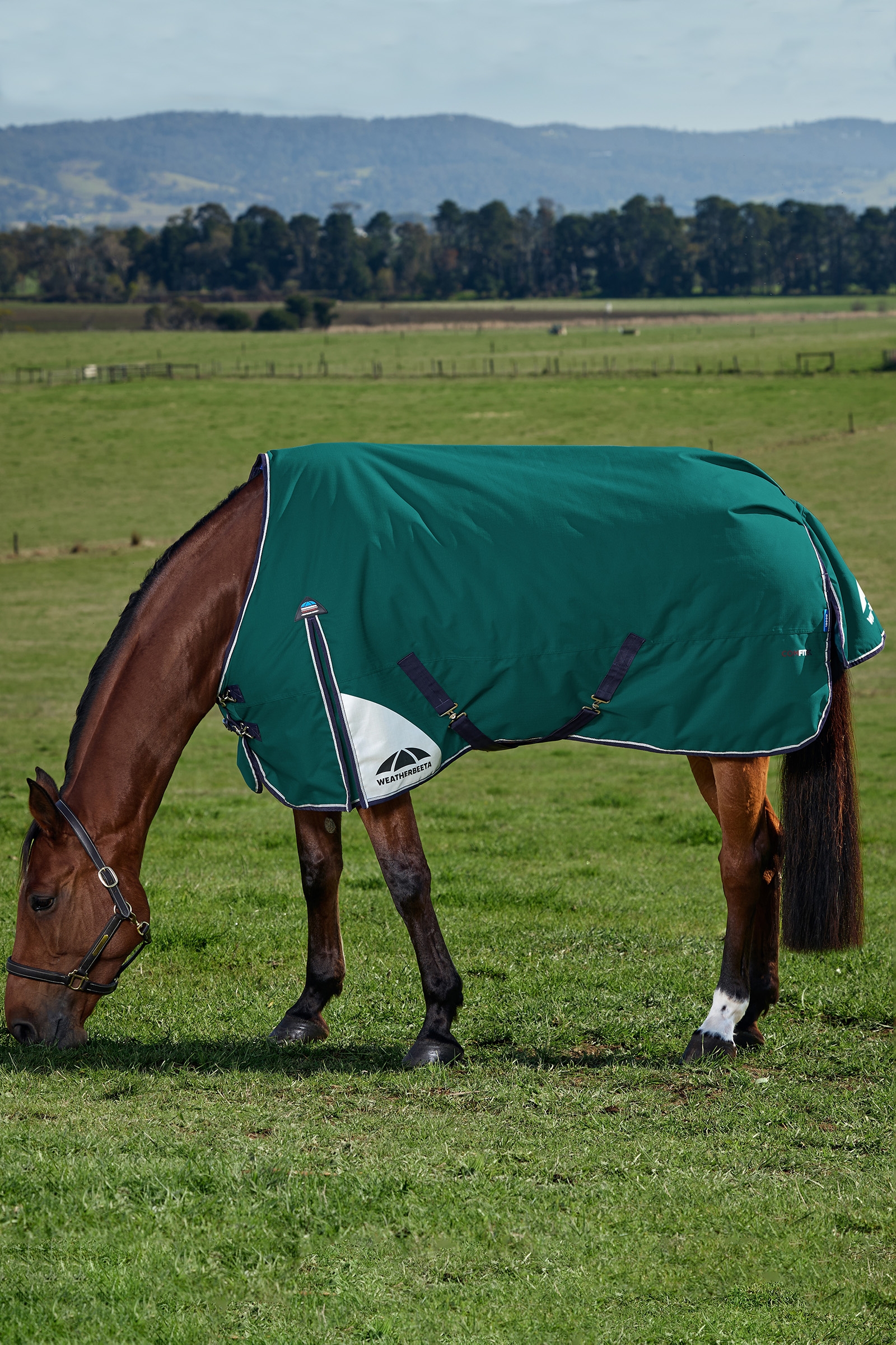 Weatherbeeta ComFiTecPlus Dynamic Turnout Detach-A-Neck 100G