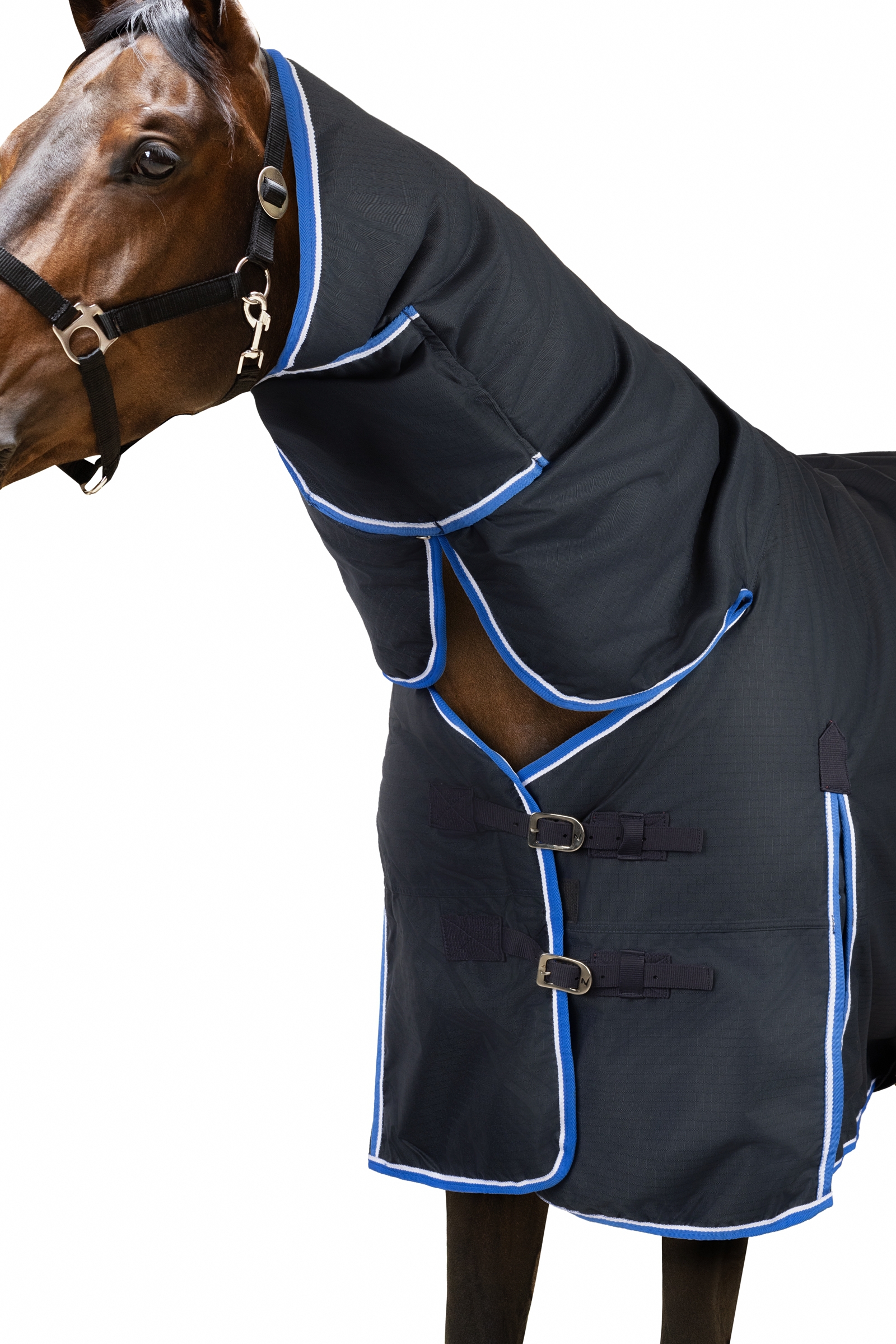 Horze Glasgow Regendecke mit Halsteil, 400g