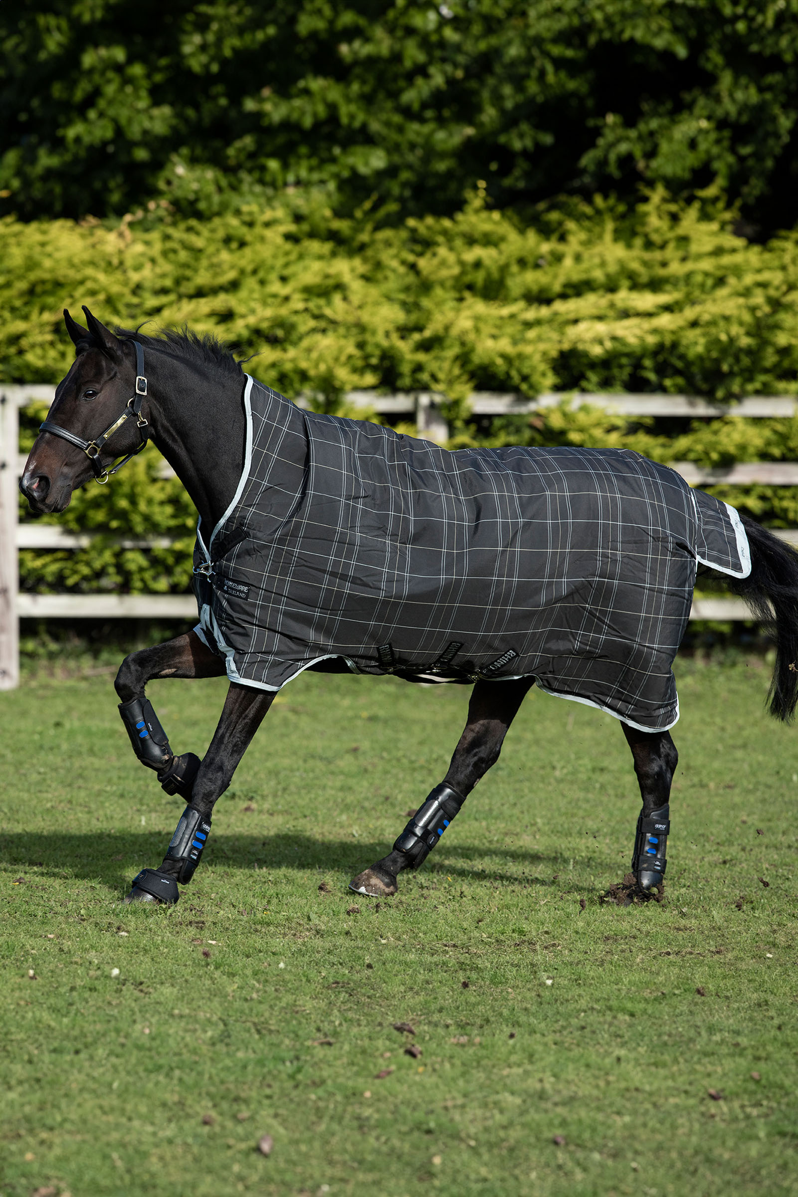 Black/Grey/White Check & Gray Horseware Rhino Wug Weidedecke, 100 g