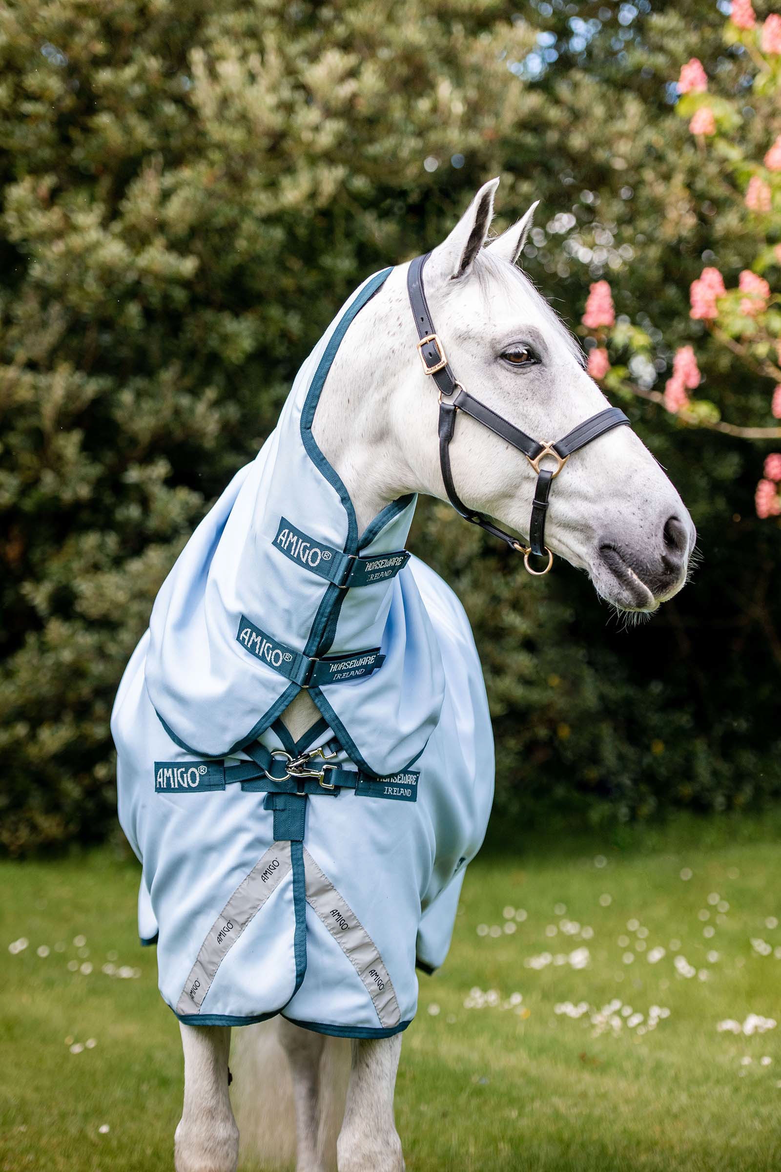 Horseware Amigo Plant Dye Weidedecke, 50g