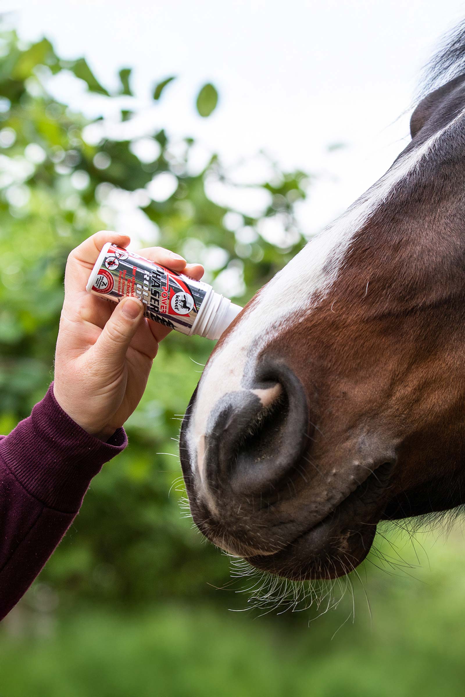 Leovet Power Phaser Roll On, 75ml