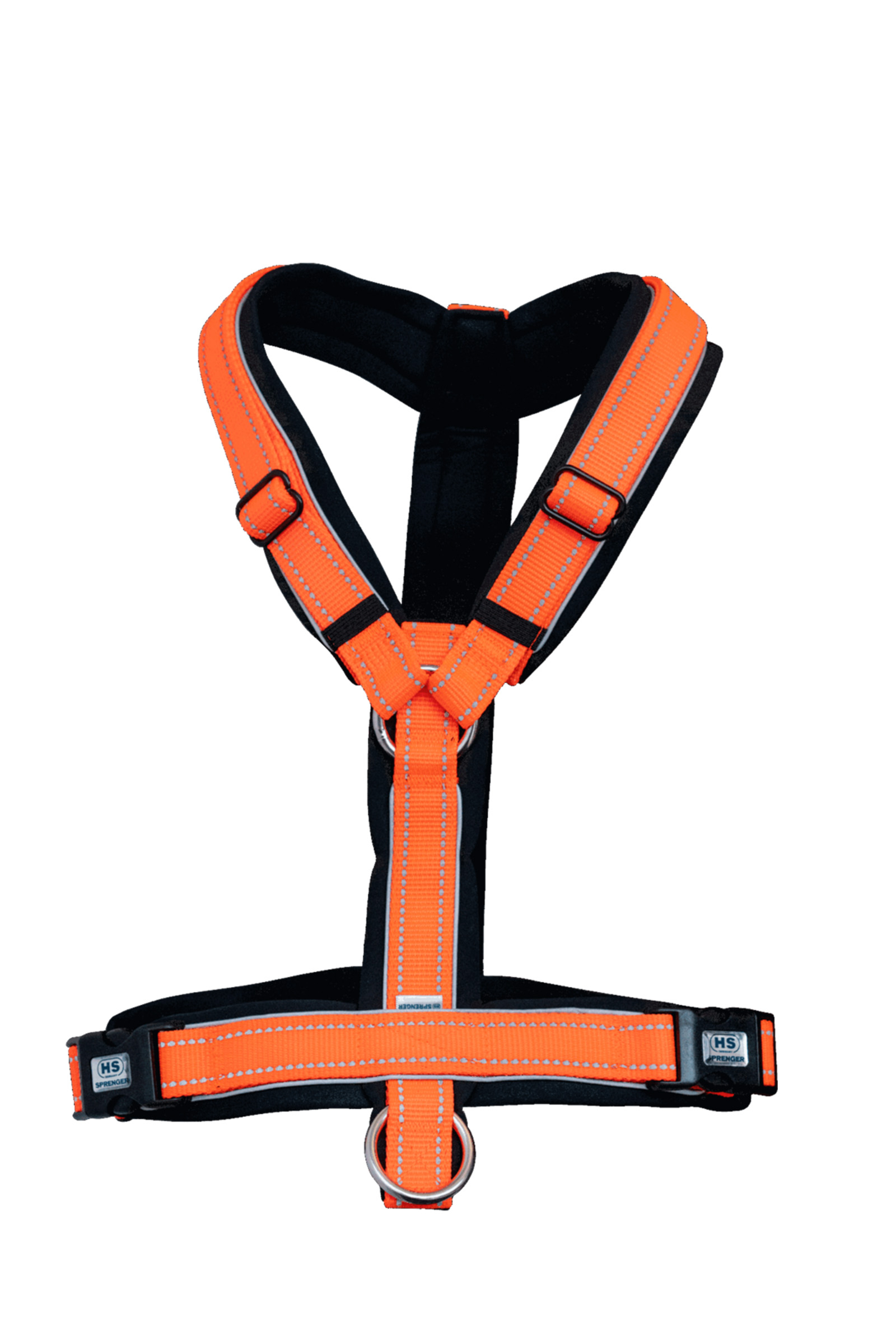 Sprenger Fohlen-Geschirr