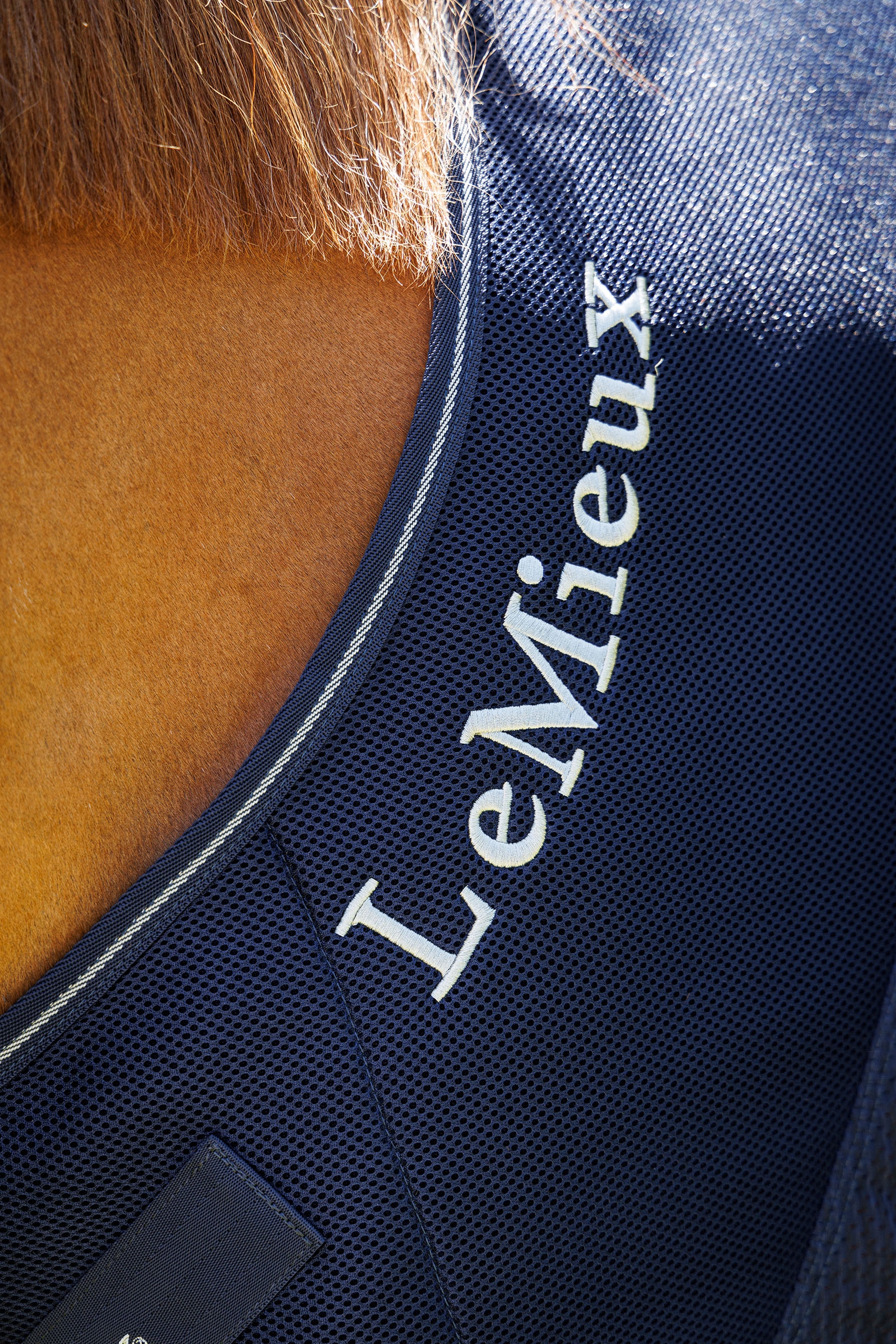 LeMieux Kudos Mesh-Sport-Abschwitzdecke