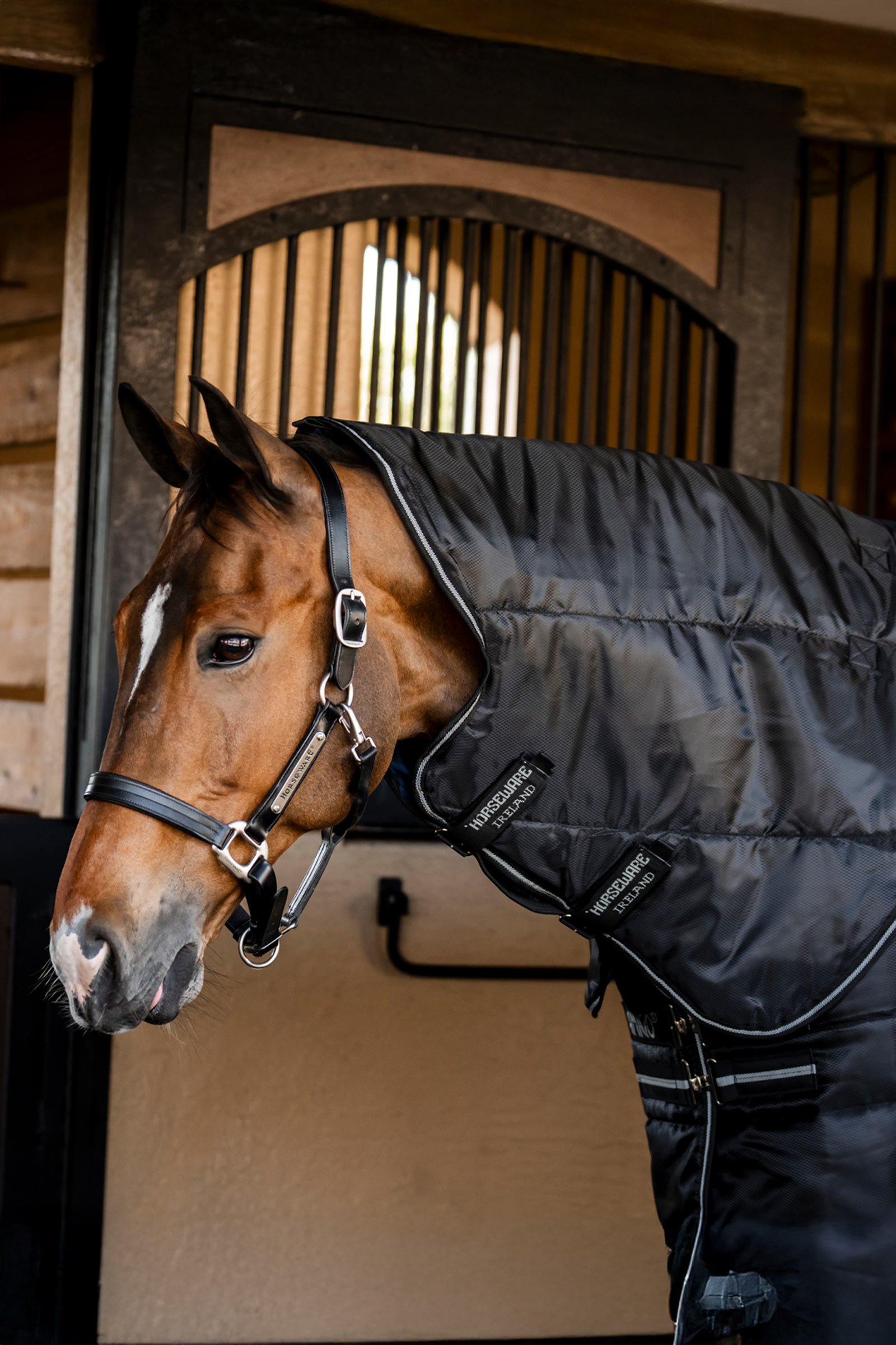Horseware Amigo Ripstop Insulator Plus Stalldecke, 200 g