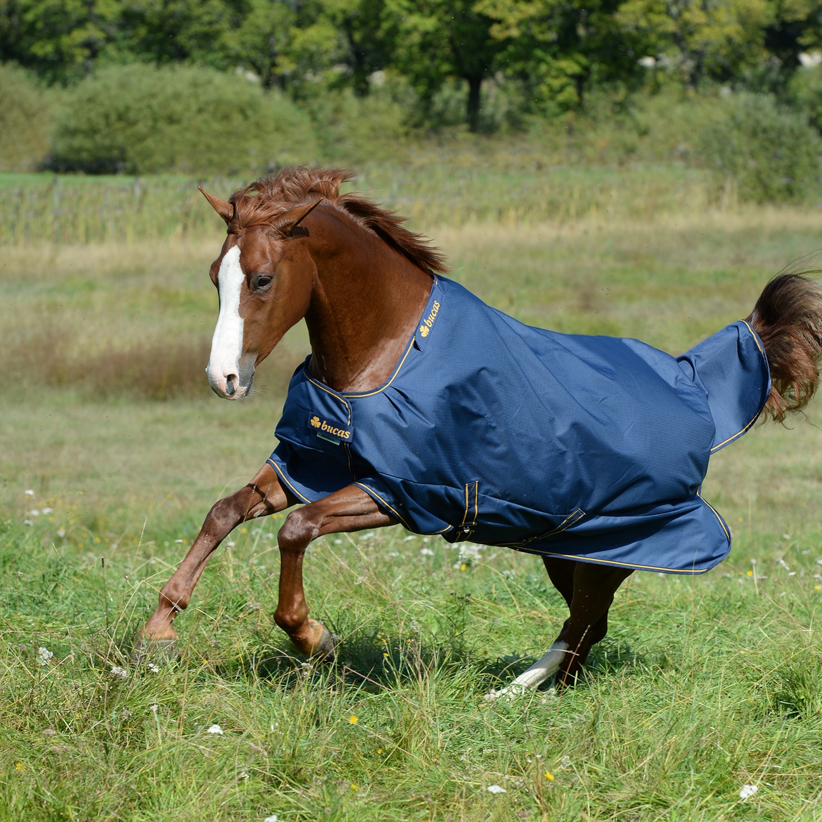 Bucas Irish Turnout Extra Pony Winterdecke, 300g