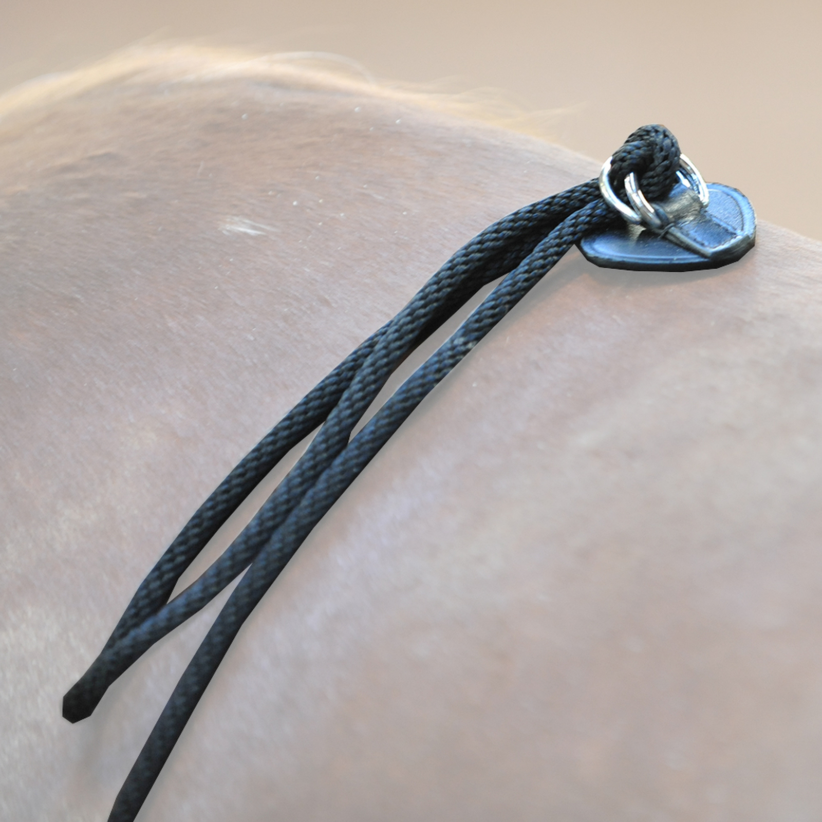 Kavalkade HO-Longierhilfe