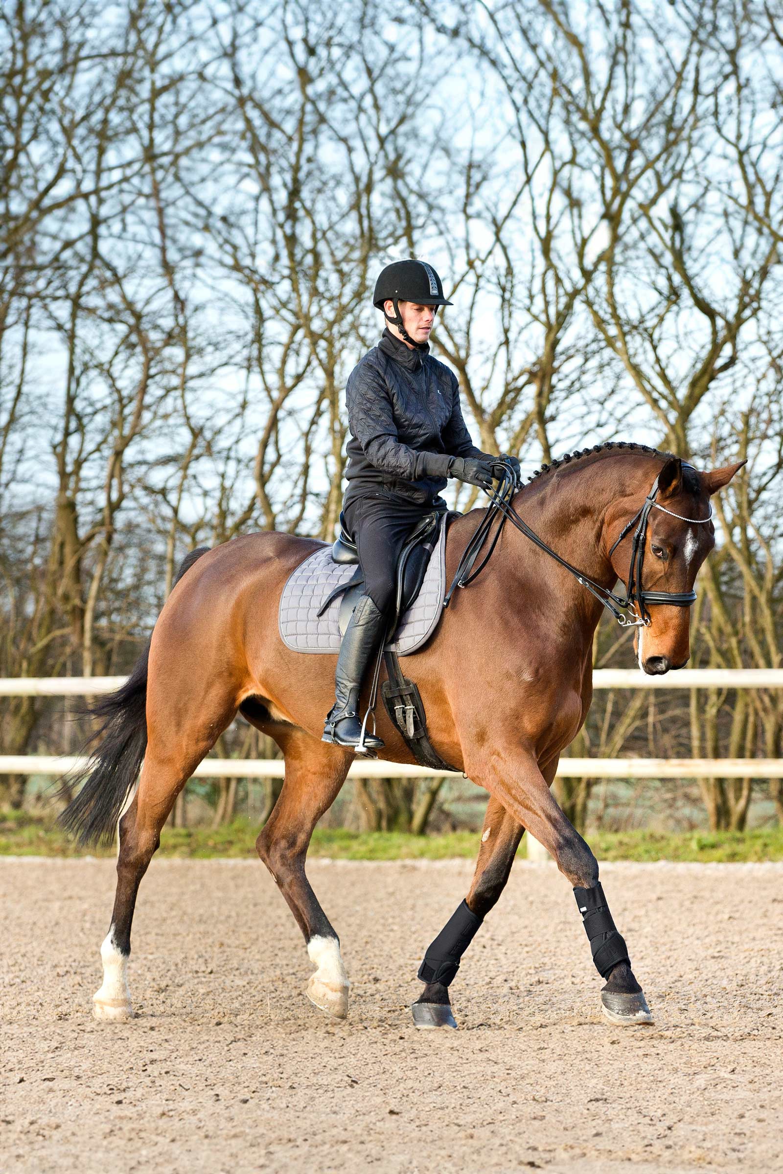 Horze Fesselkopf-Gamaschen