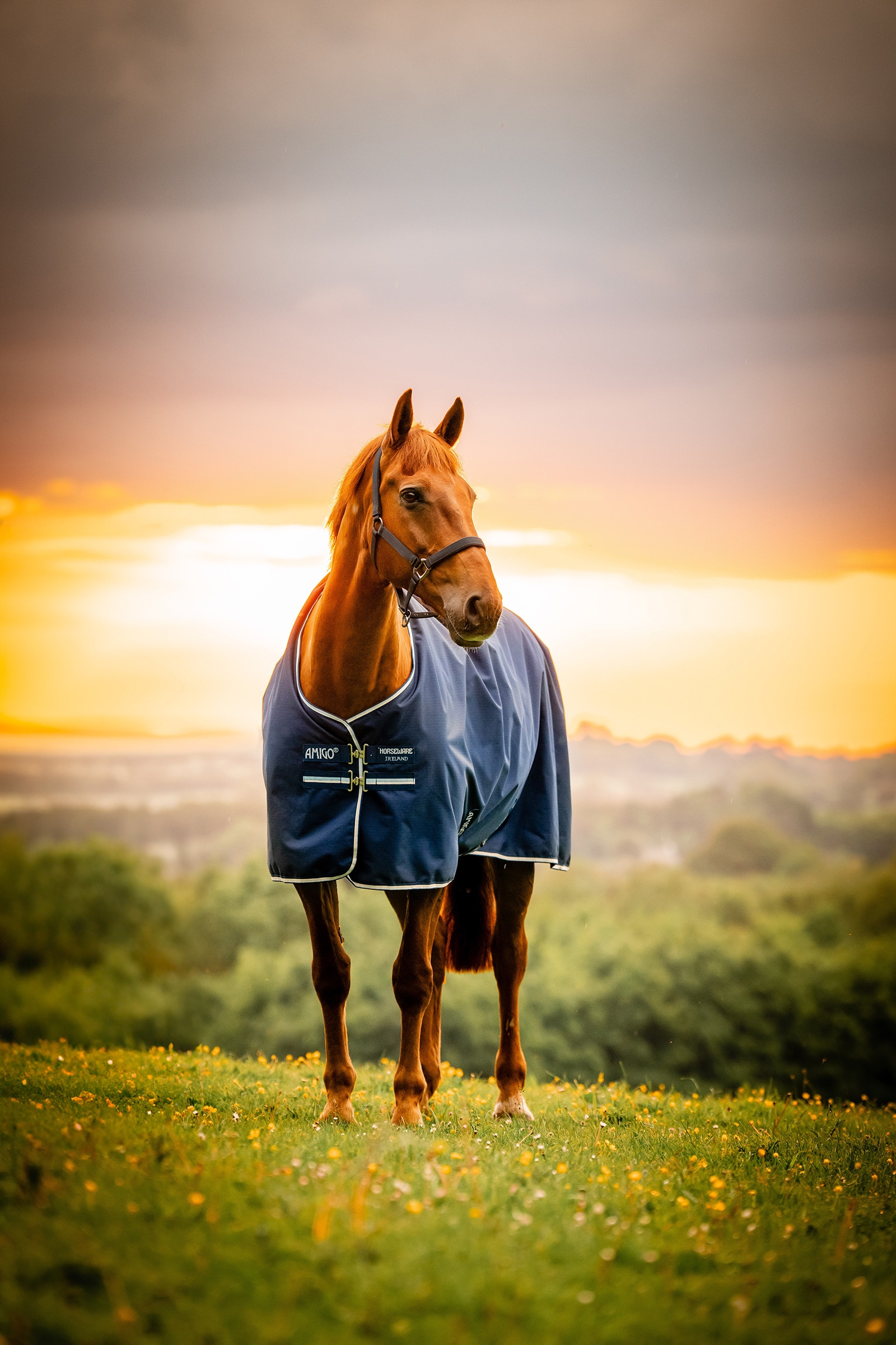 Witney Navy Horseware Amigo Ripstop 900D Outdoordecke mit Fleecefutter, 50 g