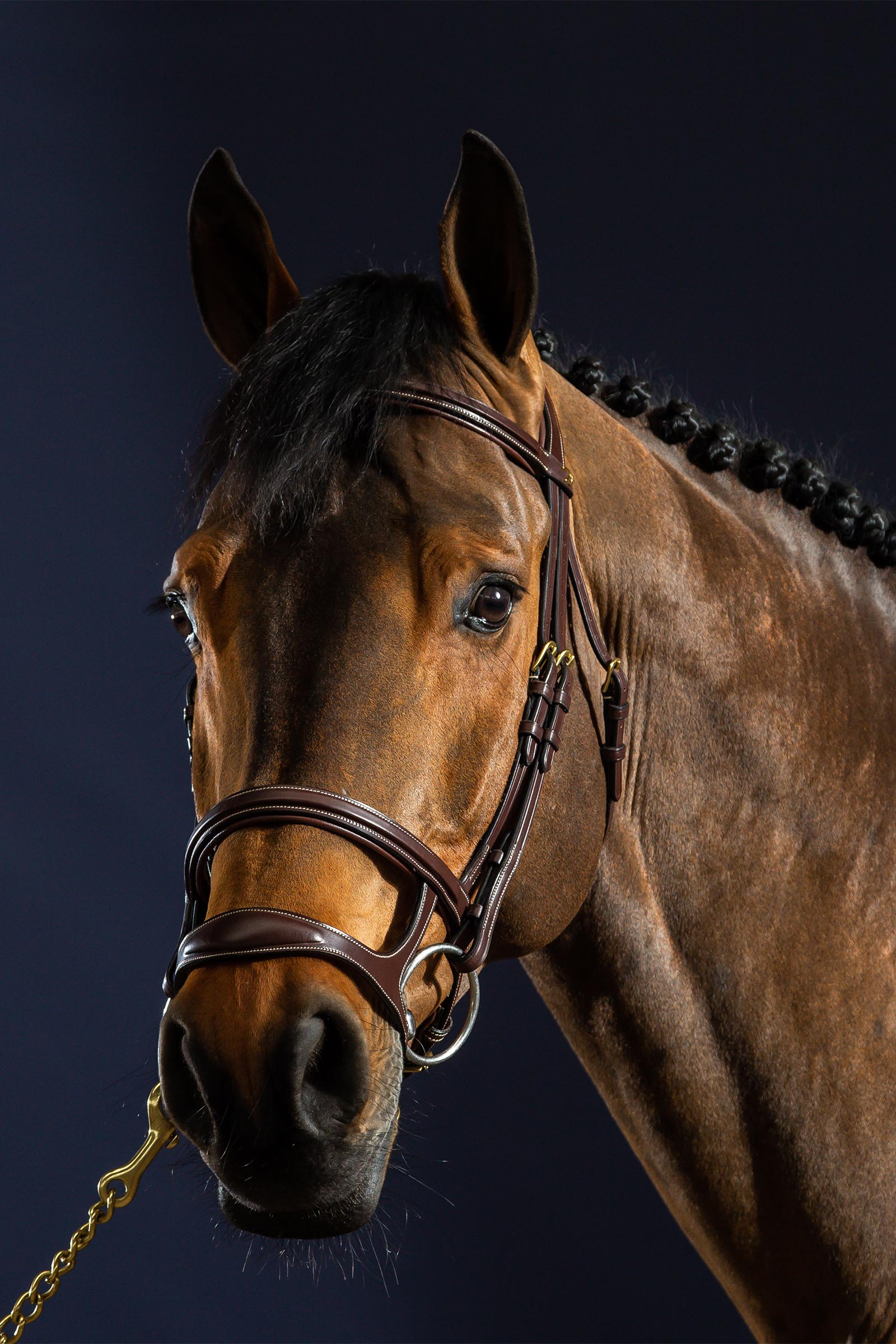 Dy'on D Collection Trense mit Doppelnasenriemen