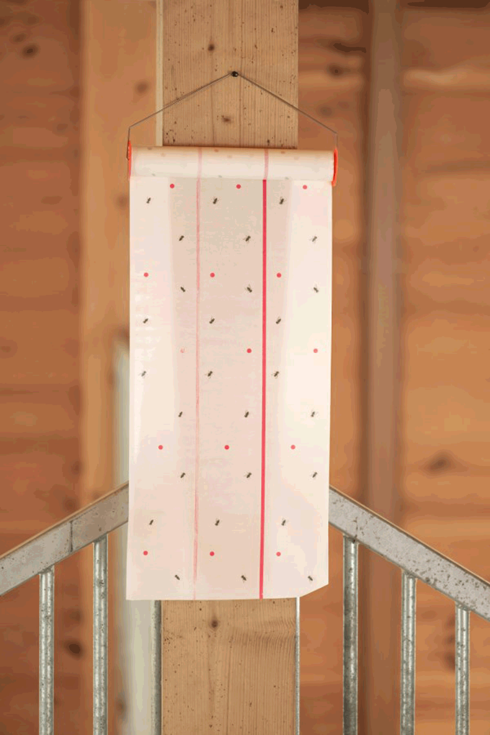 Cit MuscaRoll Fliegenfalle, 10 m