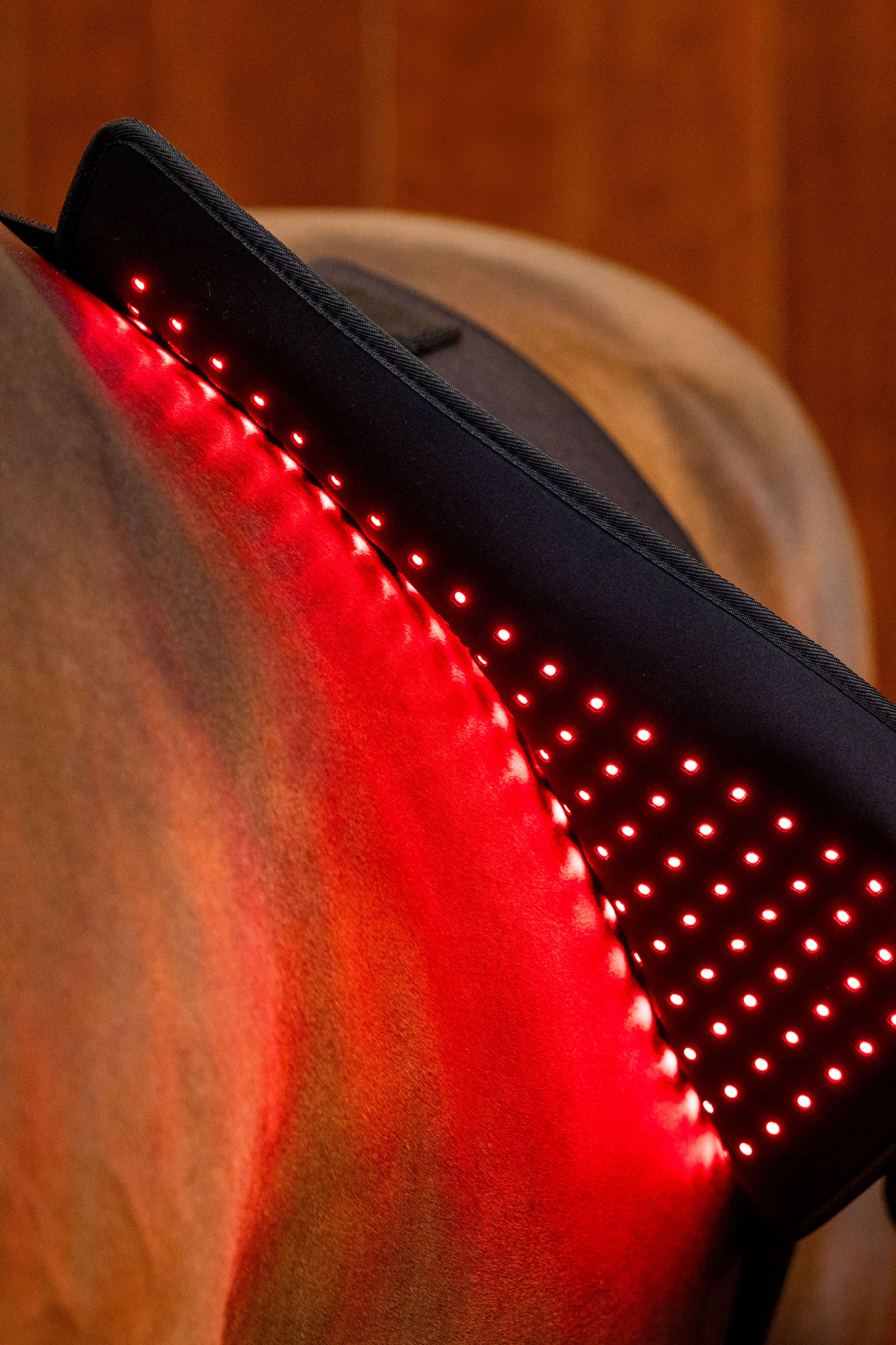 Horseware LED Rotlicht-Therapie Pad